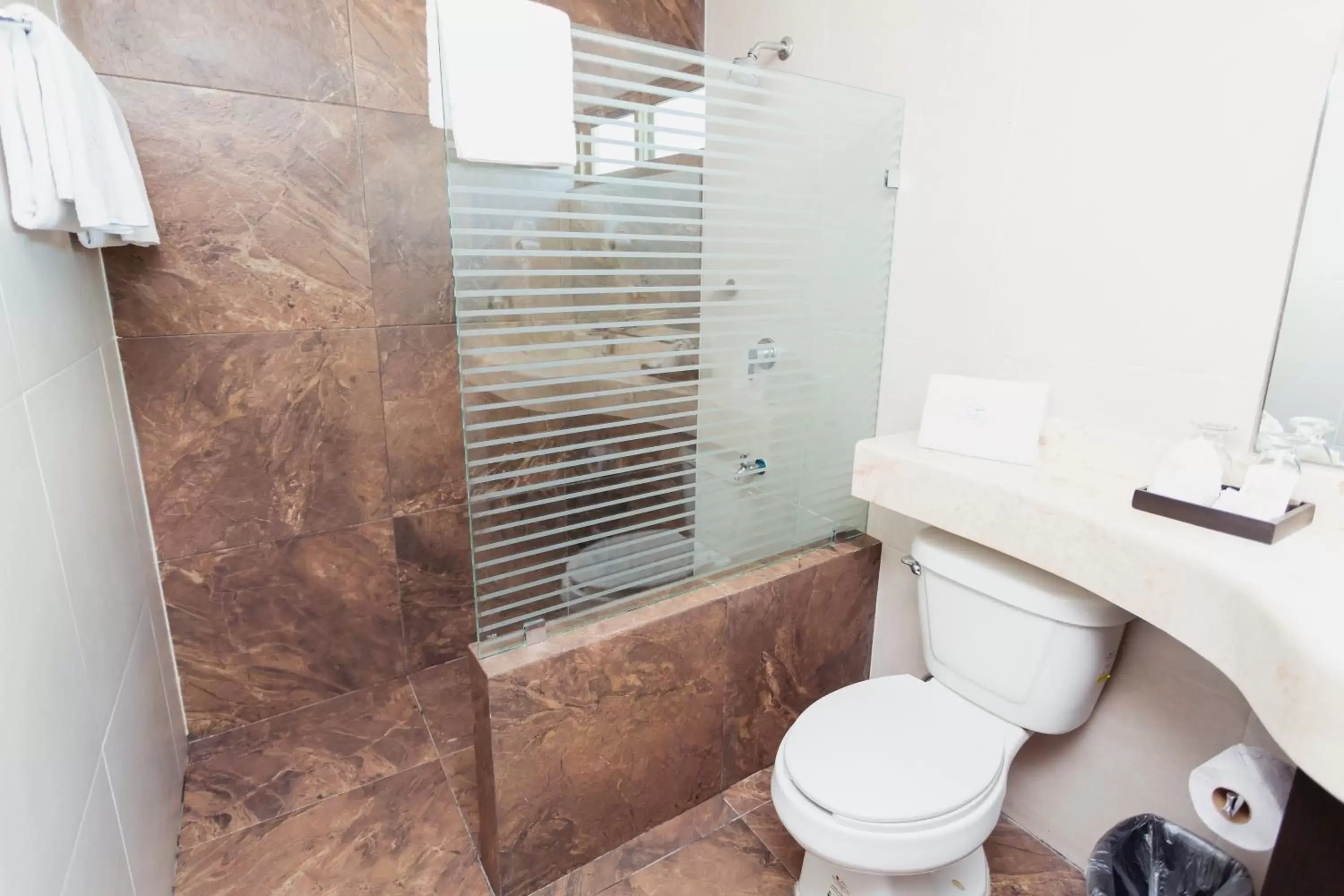 Bathroom in Hotel & Suites Country