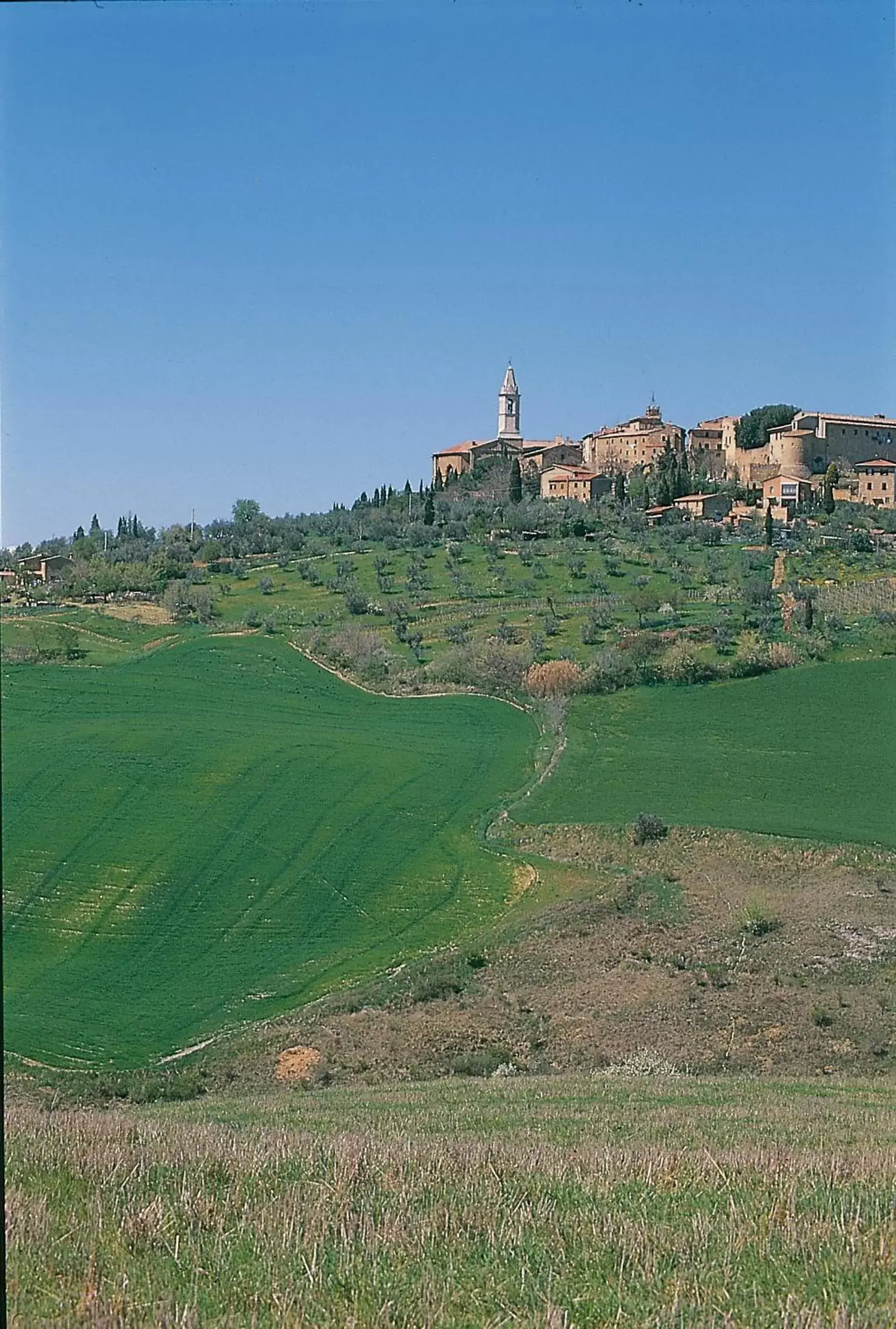 Area and facilities in Locanda Vesuna