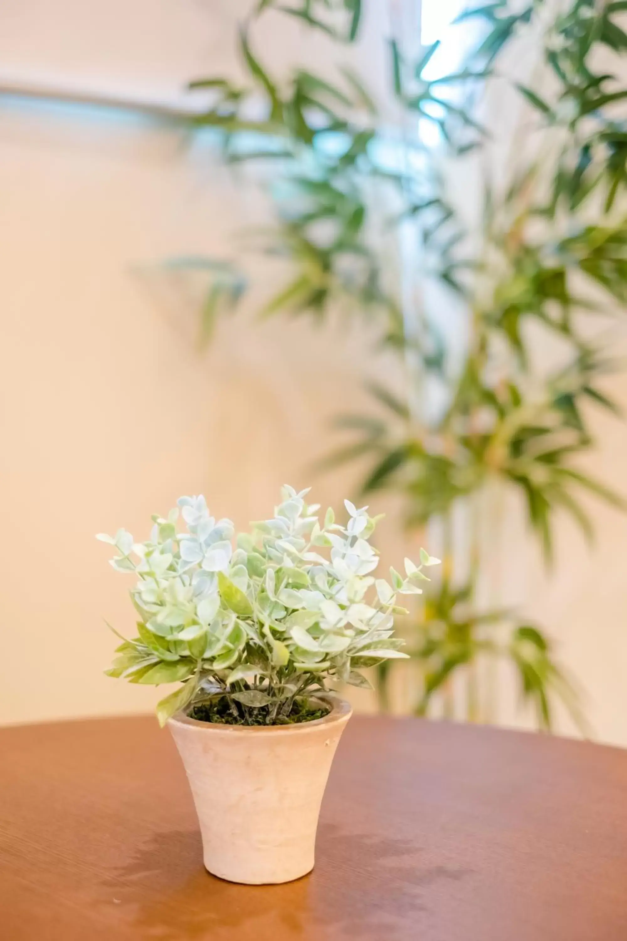 Property building in Bridge Hotel Property building in Bridge Hotel