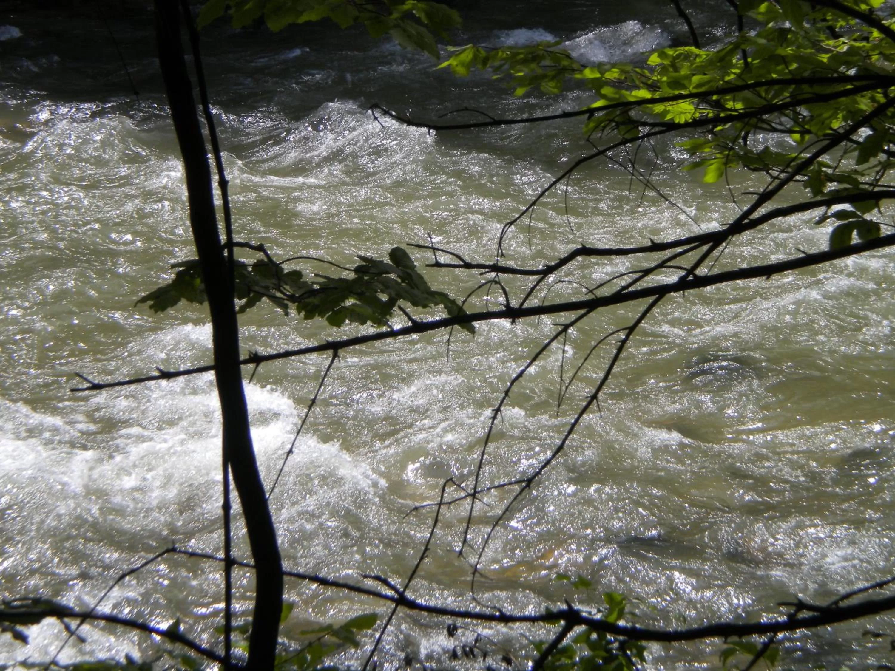 Natural landscape in Wohlfühlhotel Goiserer Mühle