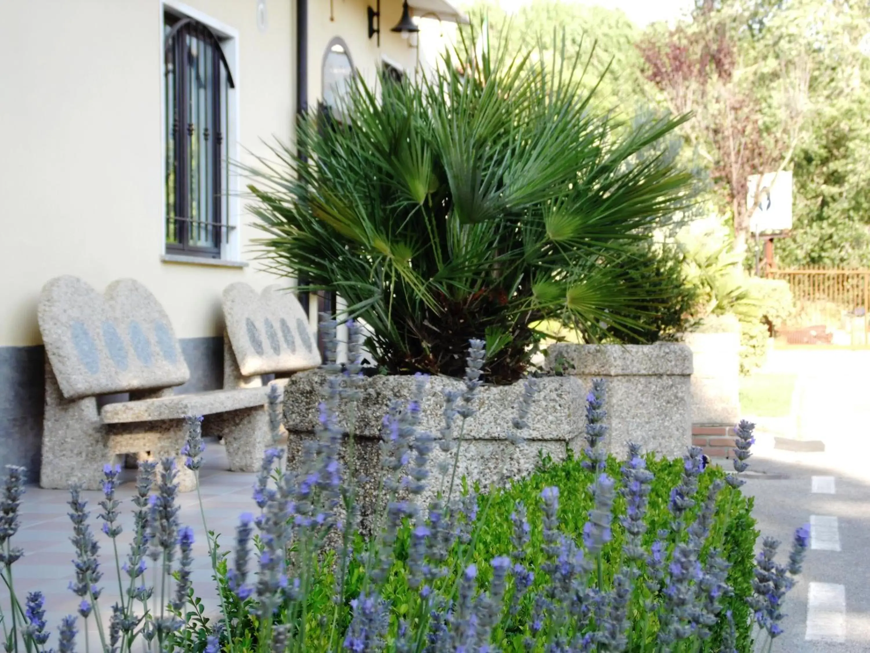 Garden in Hotel Rosso Di Sera