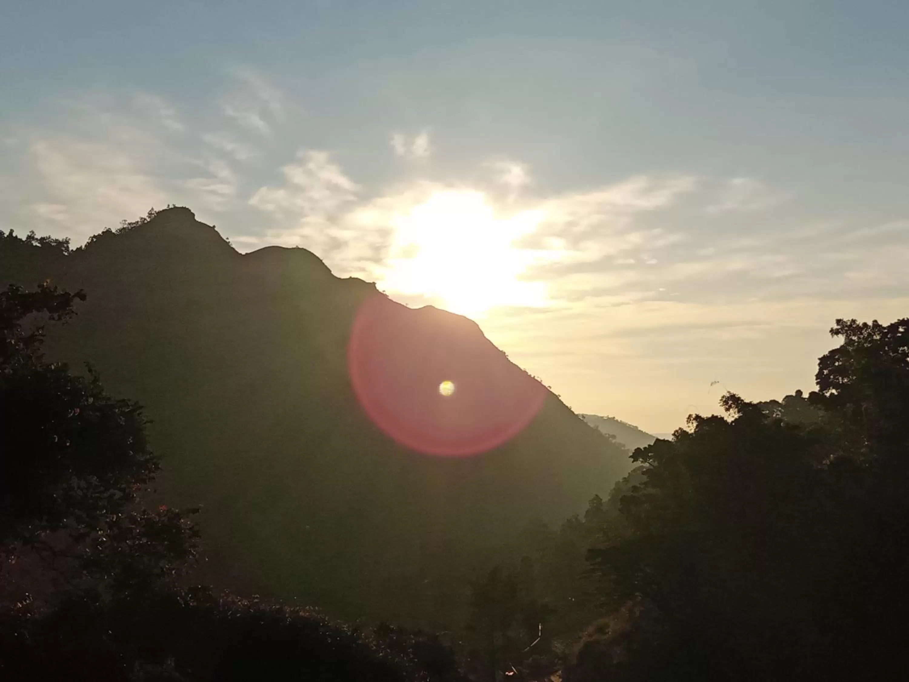 Ella Lucky Panoramic