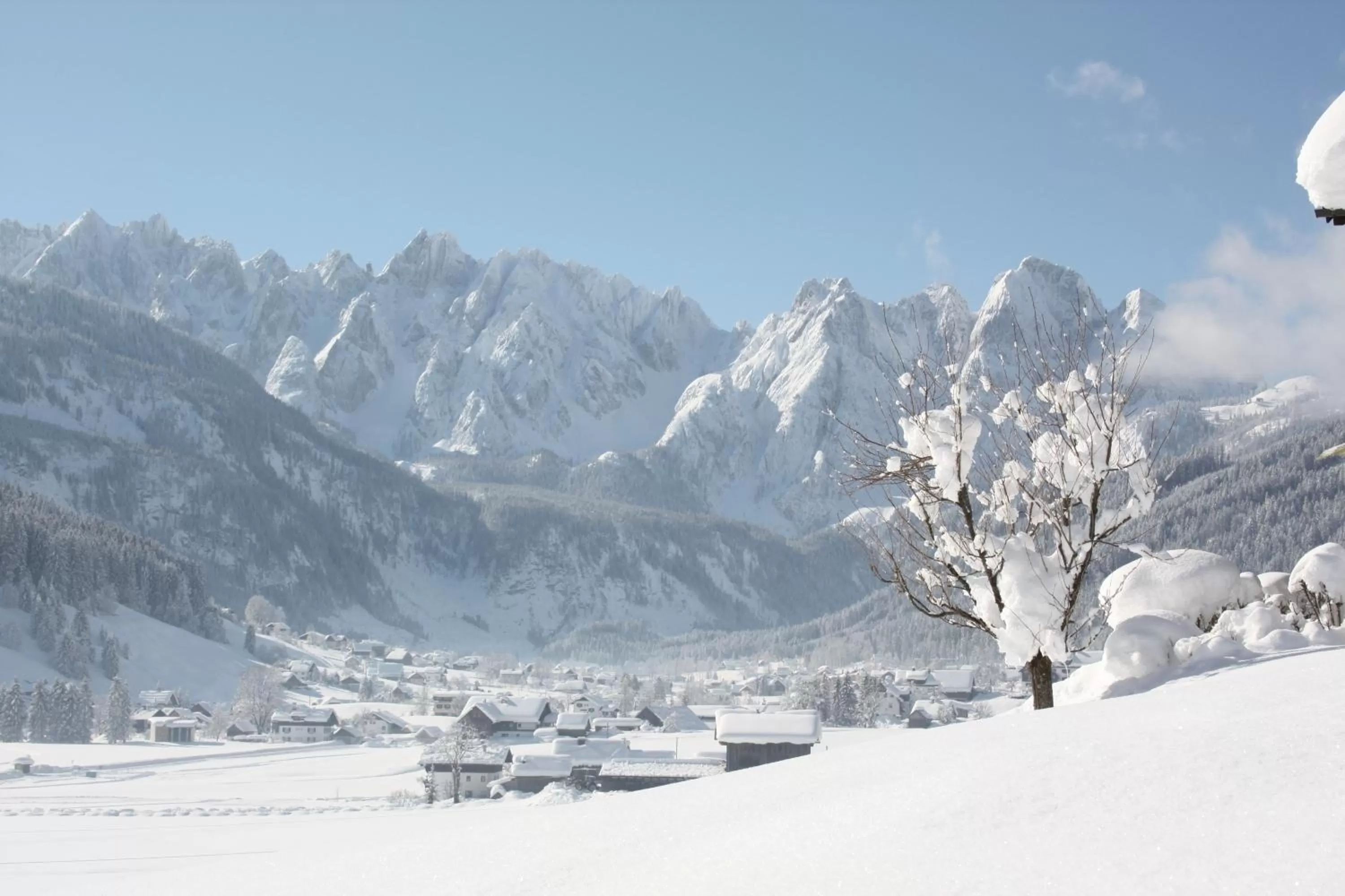 Staff in Vitalhotel Gosau