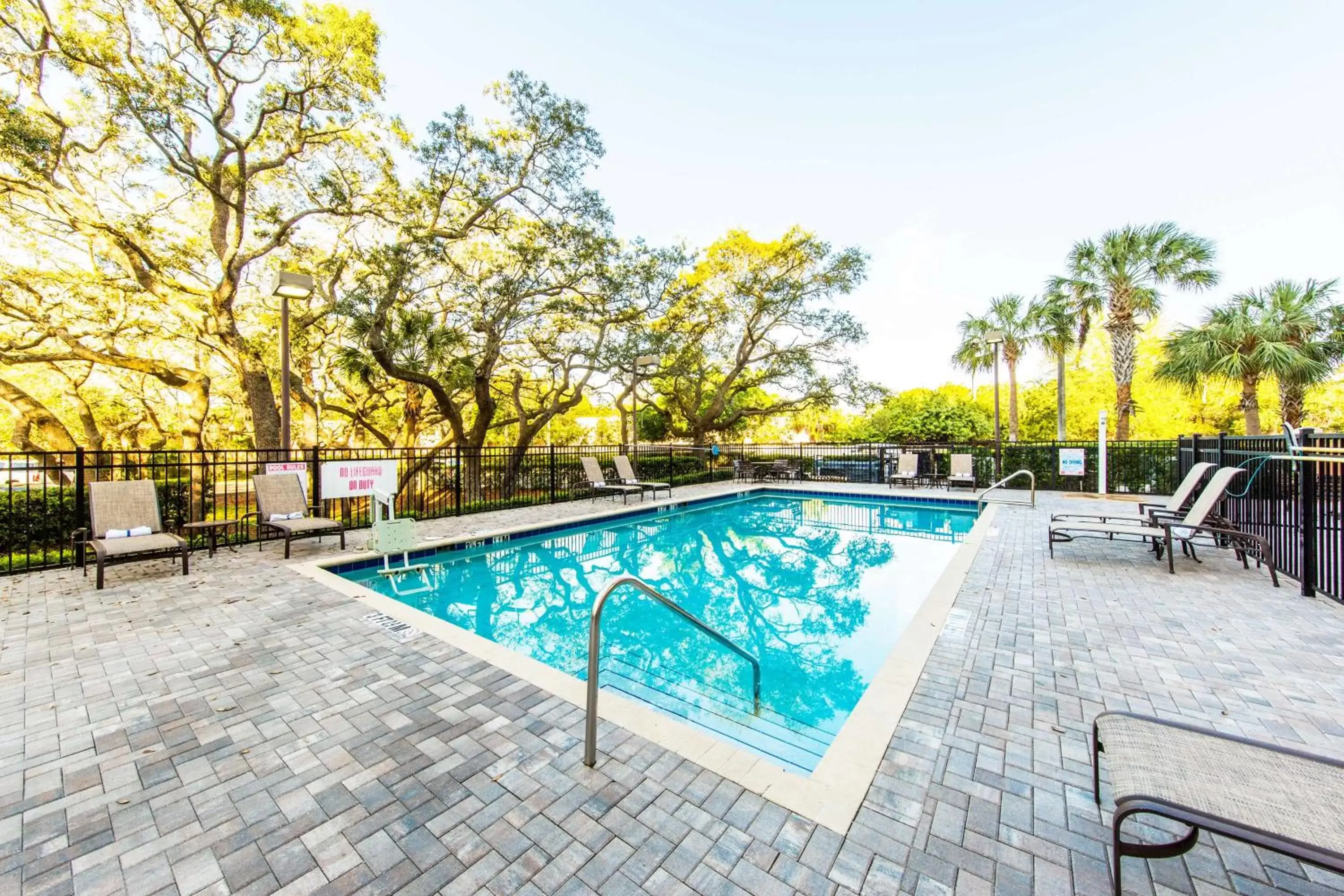 Swimming Pool in Hyatt Place Tampa Busch Gardens