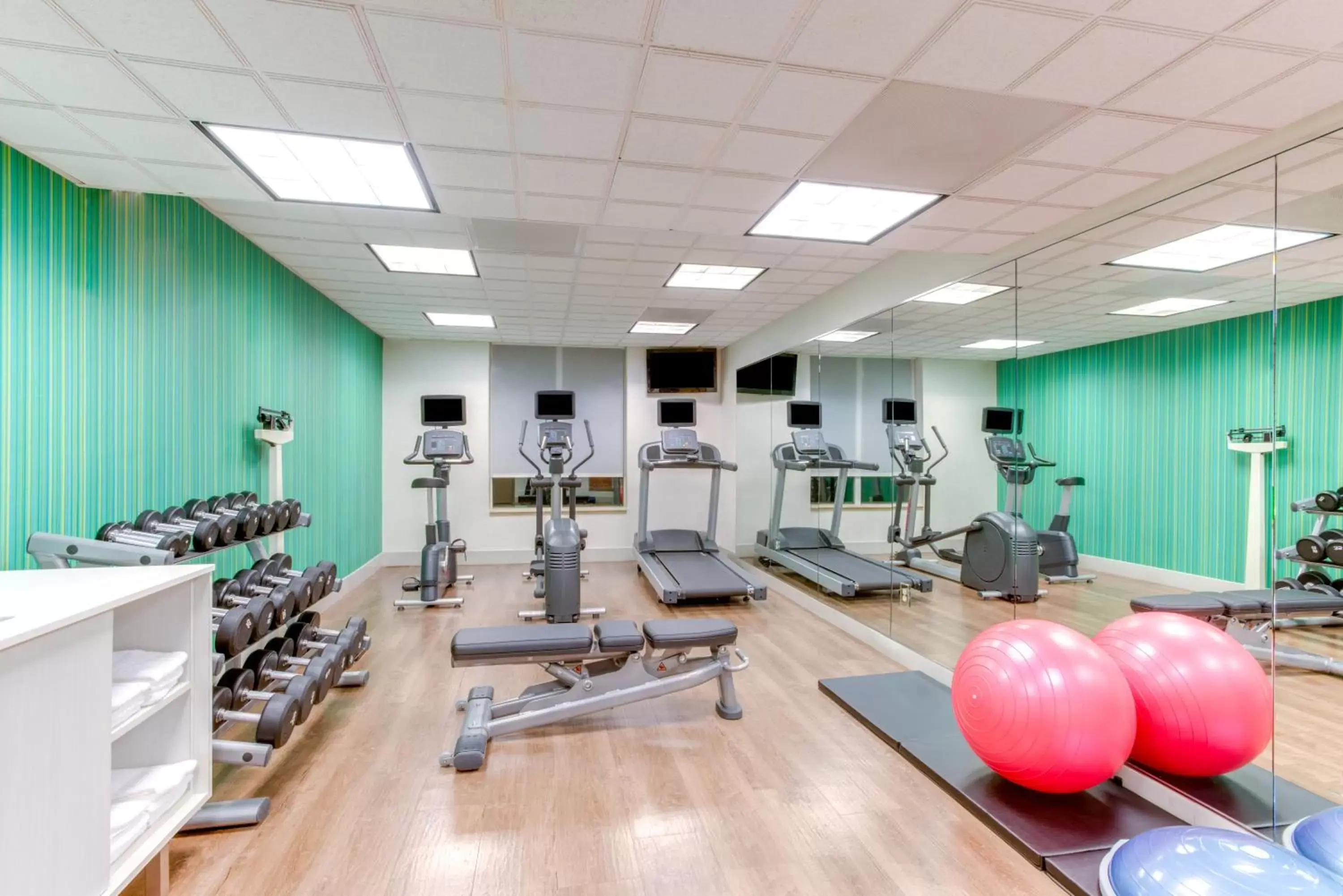 Fitness centre/facilities, Fitness Center/Facilities in Holiday Inn Express Hotel & Suites Bethlehem, an IHG Hotel