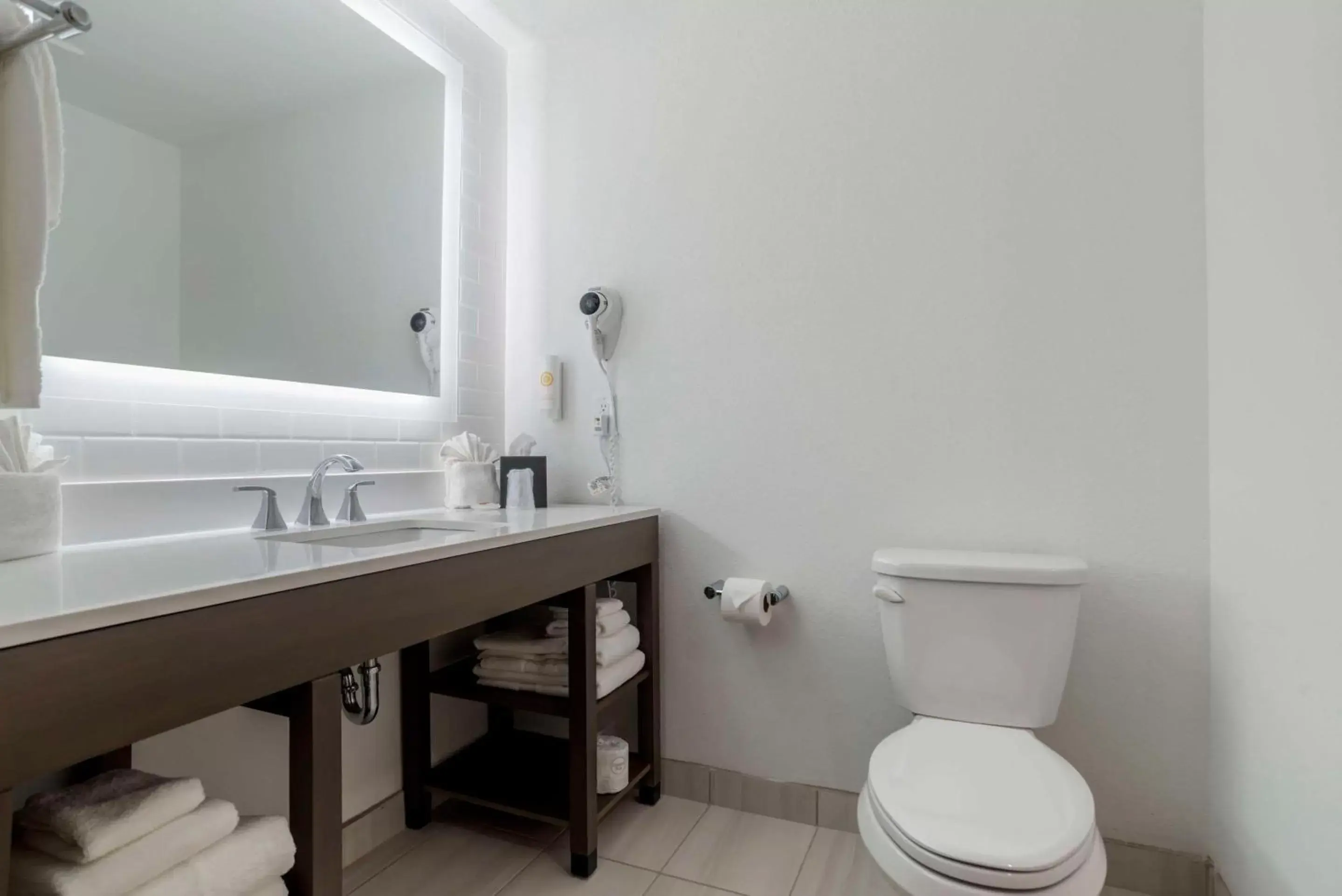 Bathroom in Comfort Inn & Suites Panama City Beach - Pier Park Area