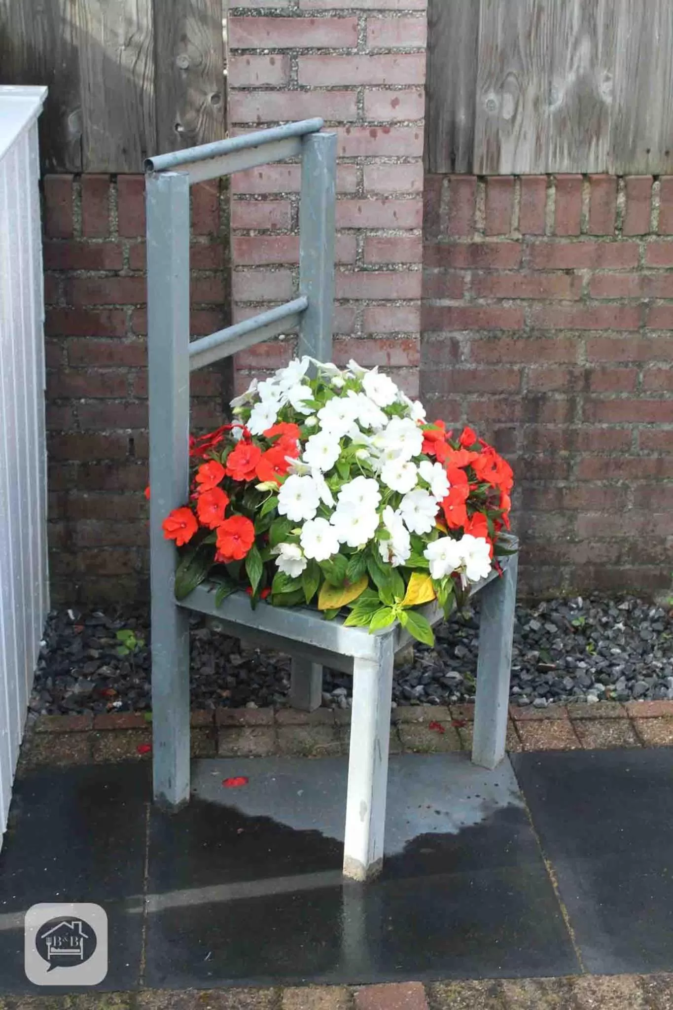 Garden in Villa Pats