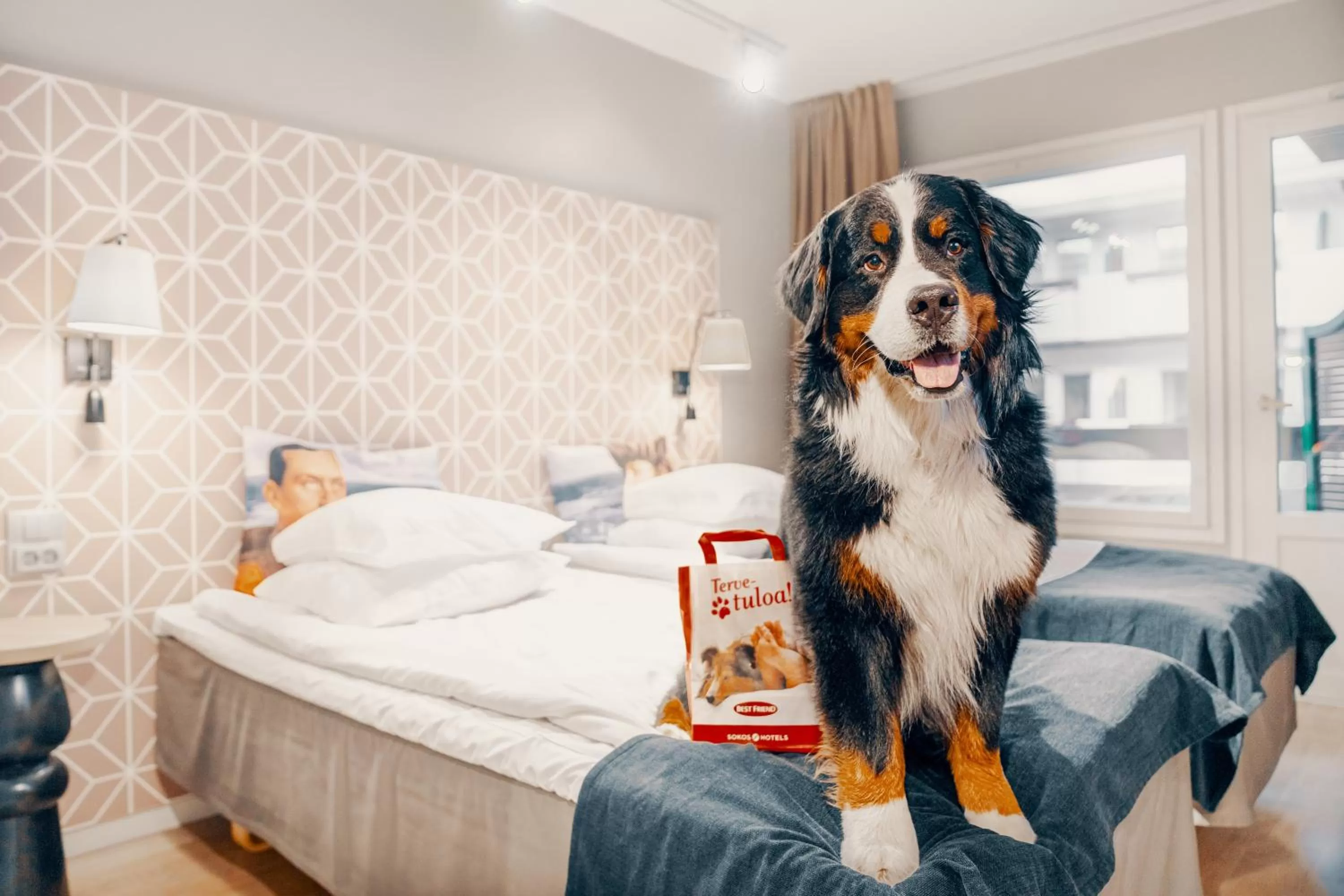 Animals in Original Sokos Hotel Vaakuna Mikkeli