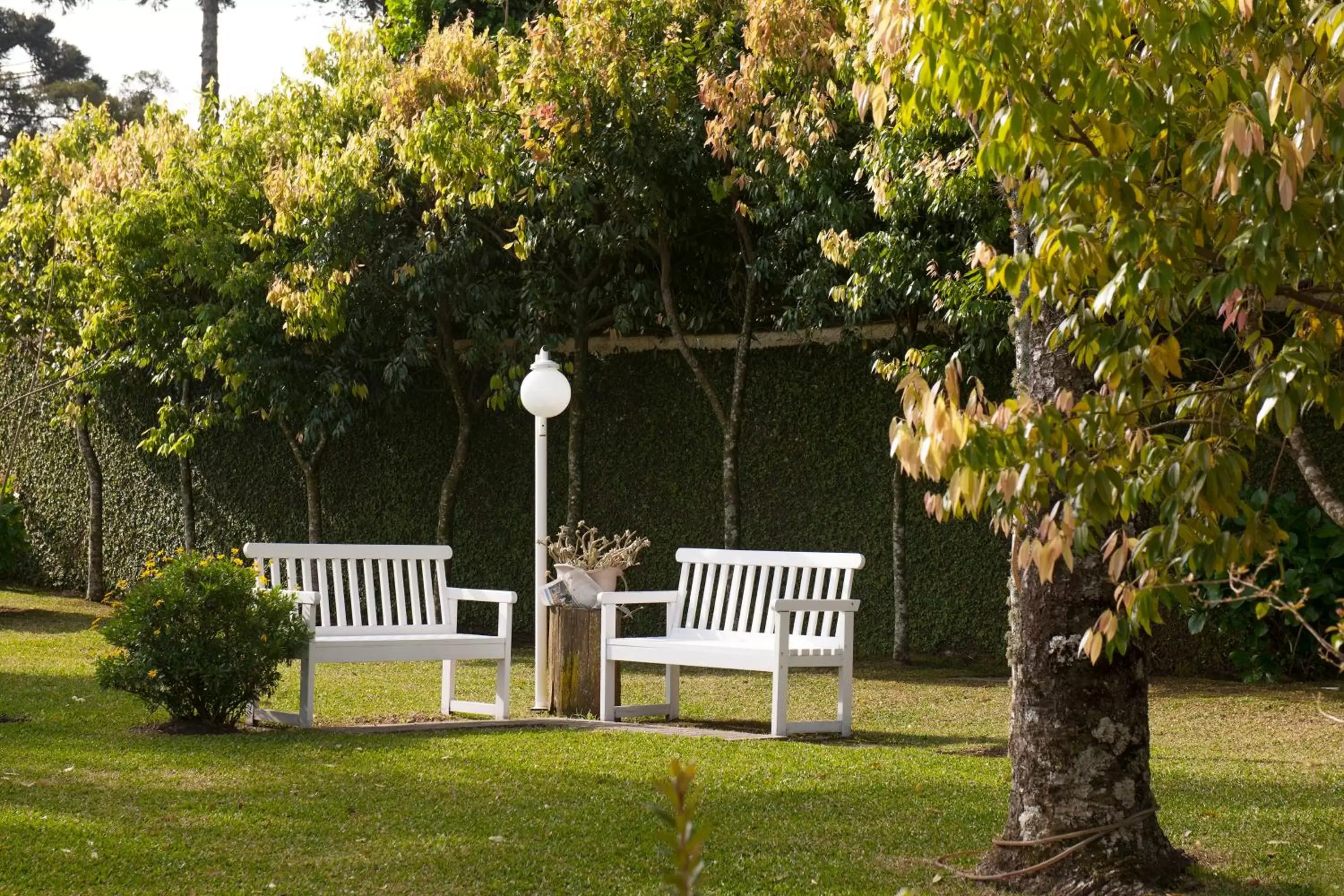 Garden view, Patio/Outdoor Area in Pousada Doce Canela