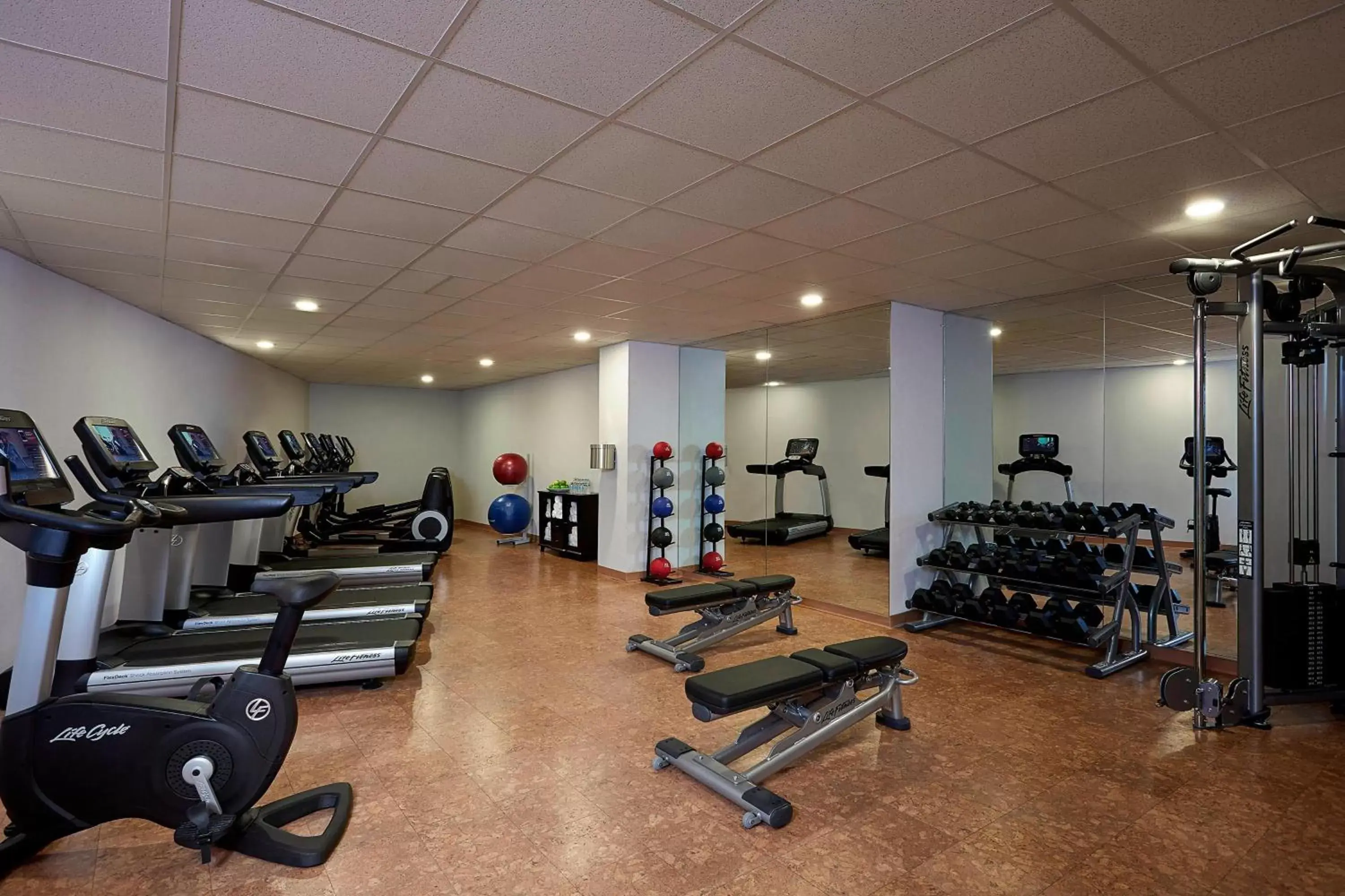 Fitness centre/facilities, Fitness Center/Facilities in Ithaca Marriott Downtown on the Commons