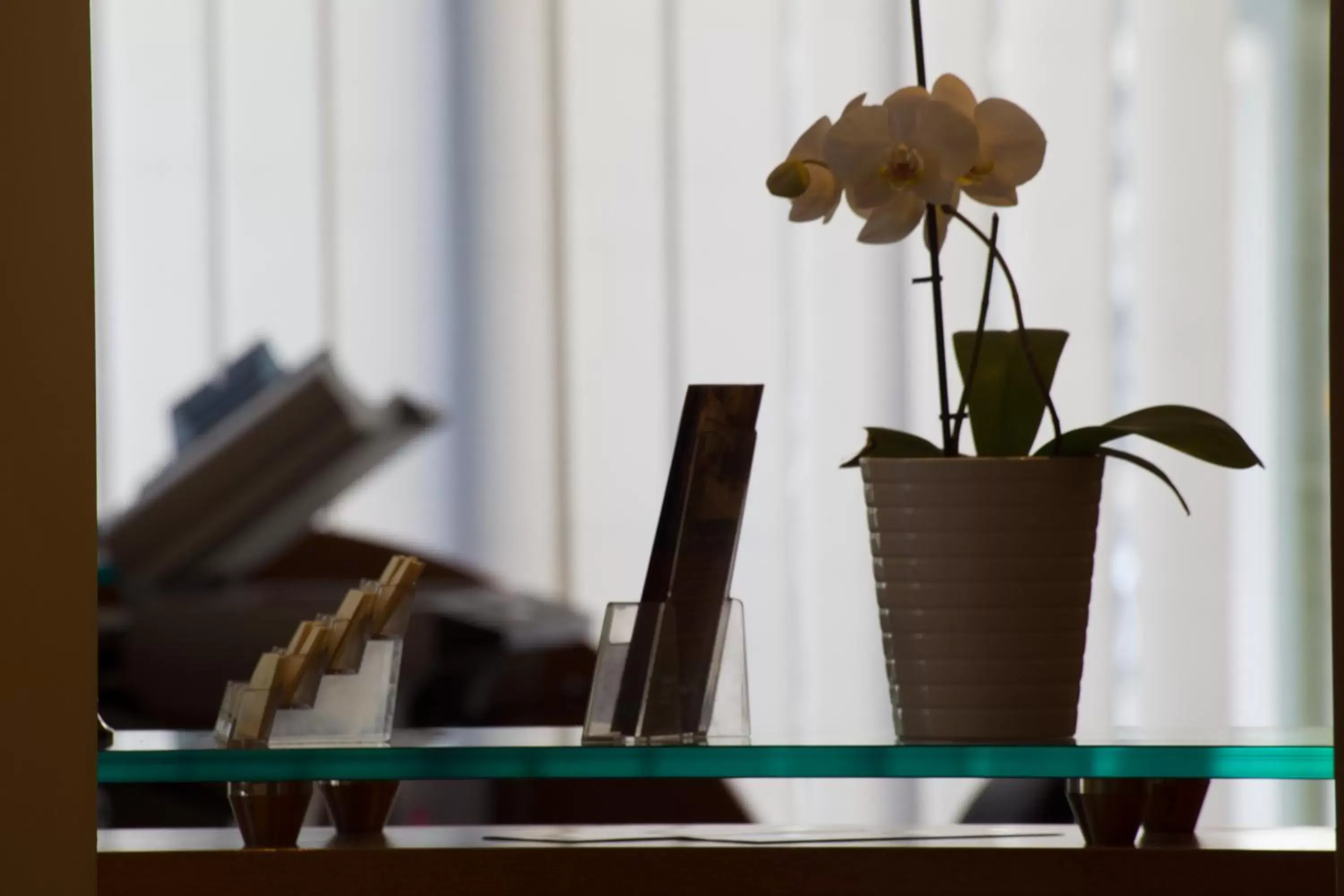 Lobby or reception in Triada Hotel