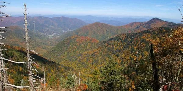 Natural Landscape in Jonathan Creek Inn and Villas