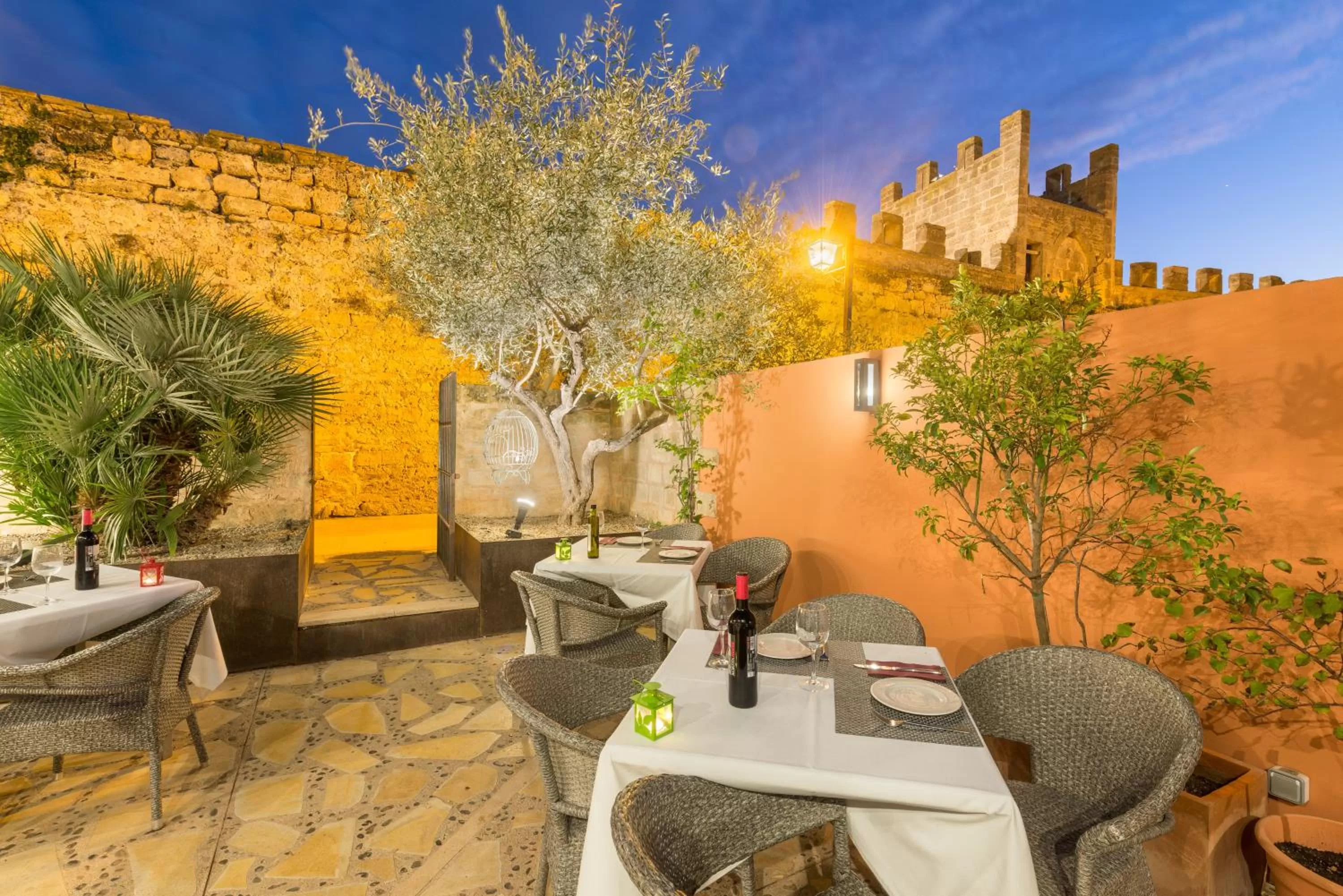 Patio in Alcudia Petit - Turismo de Interior