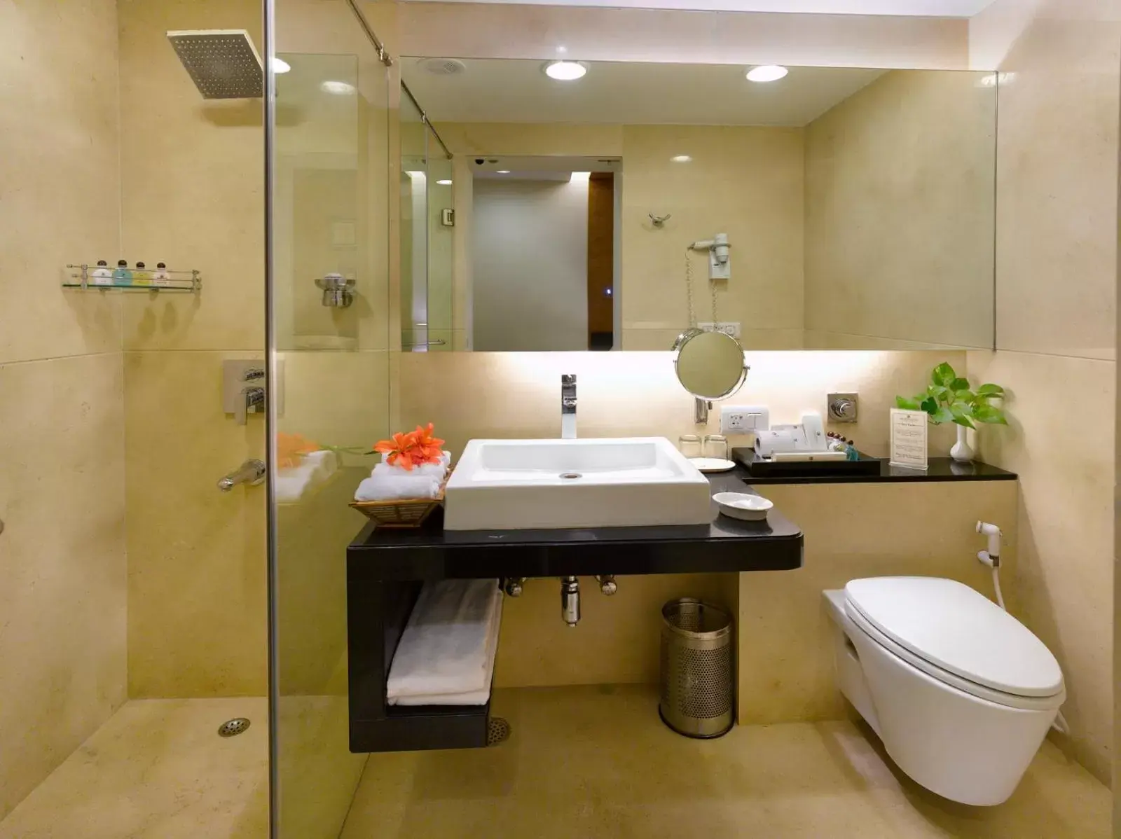 Shower, Bathroom in Kenilworth Hotel, Kolkata