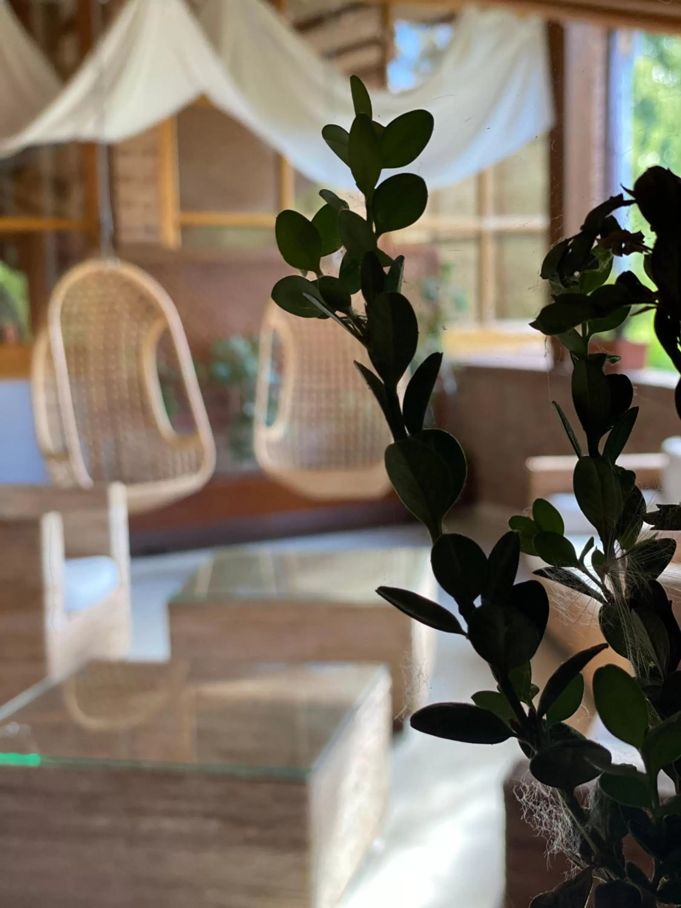 Property building in Hotel Jakue