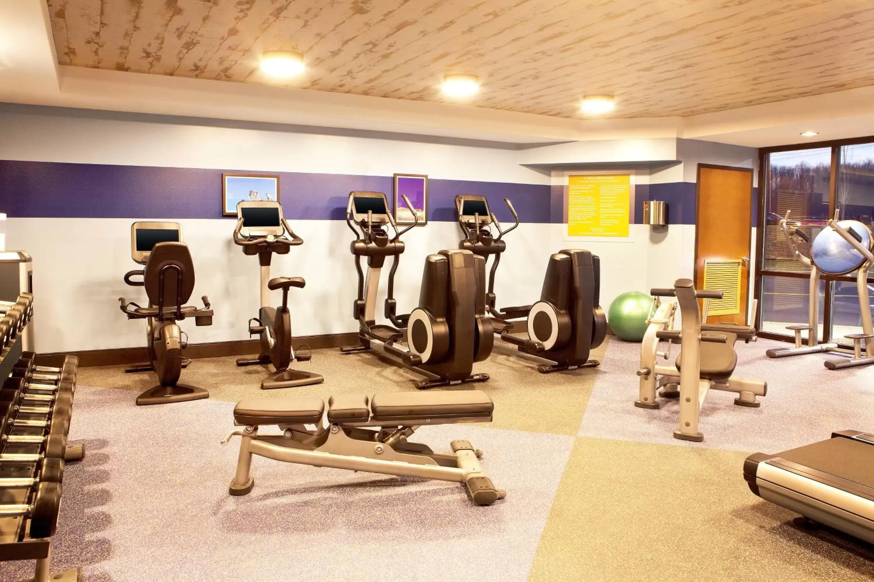 Fitness centre/facilities, Fitness Center/Facilities in Four Points by Sheraton Newark Christiana Wilmington