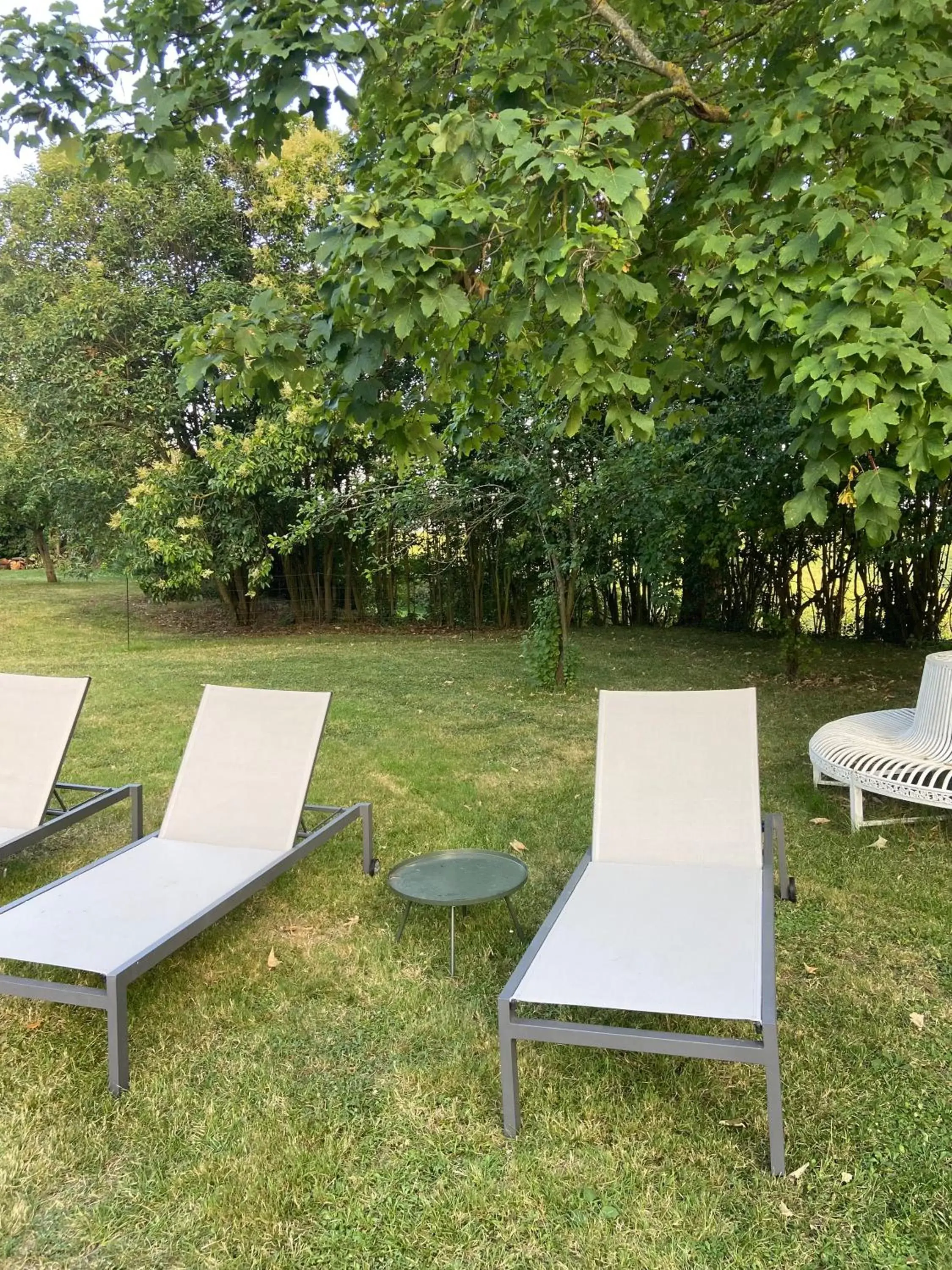 Swimming pool, Garden in Manoir du Bouyssou