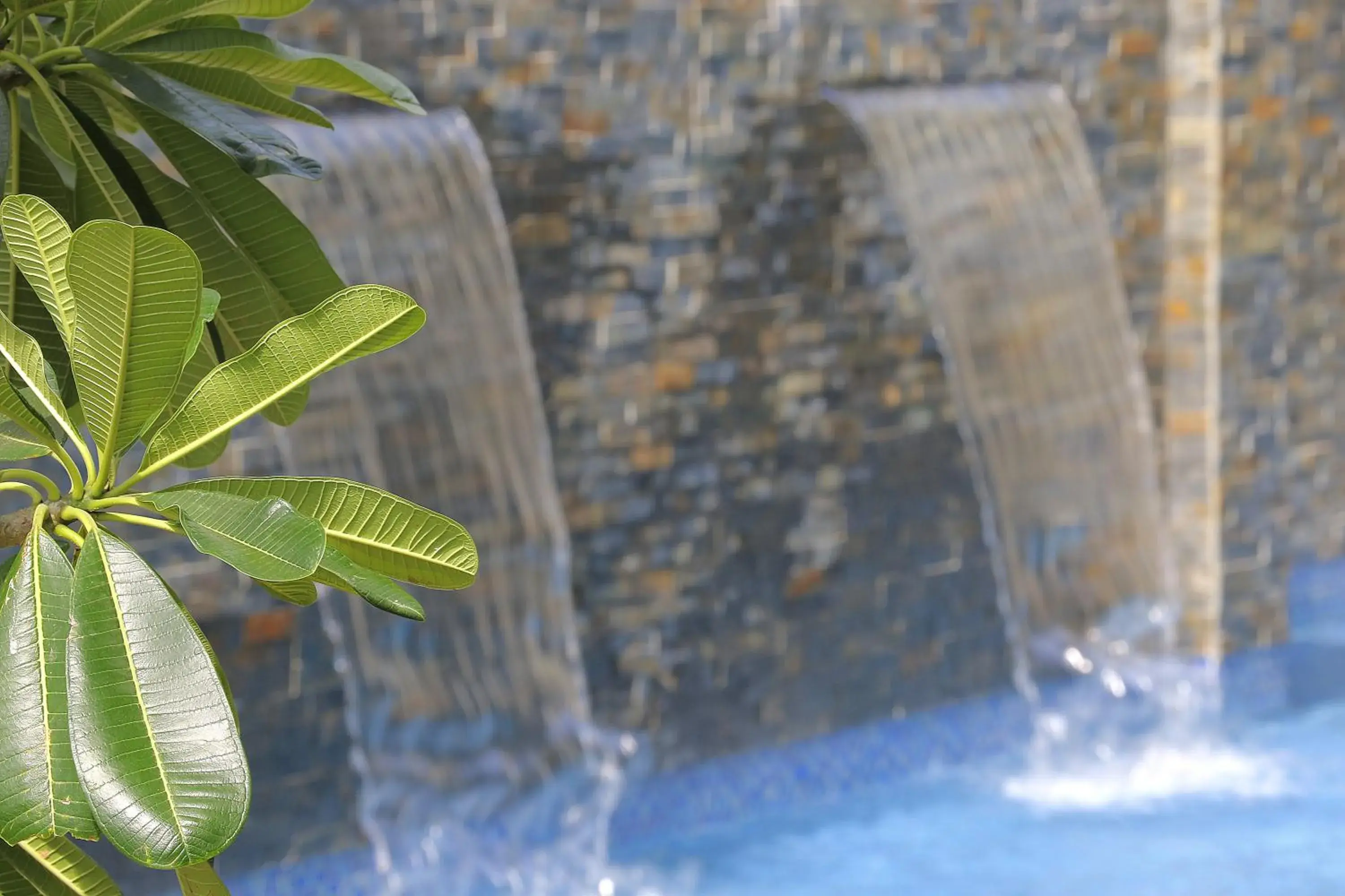 Property building in The Palms Denarau Fiji Property building in The Palms Denarau Fiji