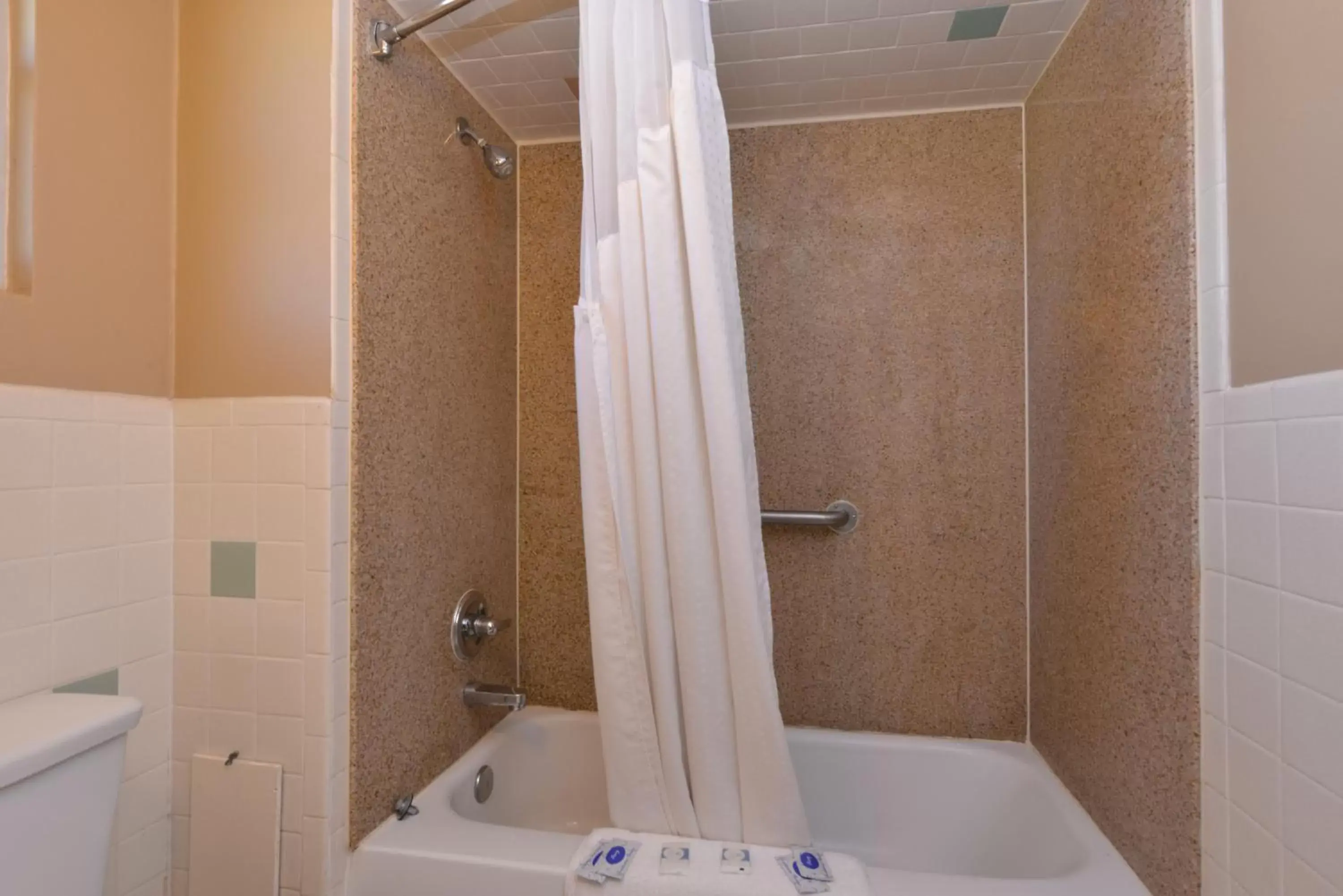 Shower, Bathroom in Ranch House Motel