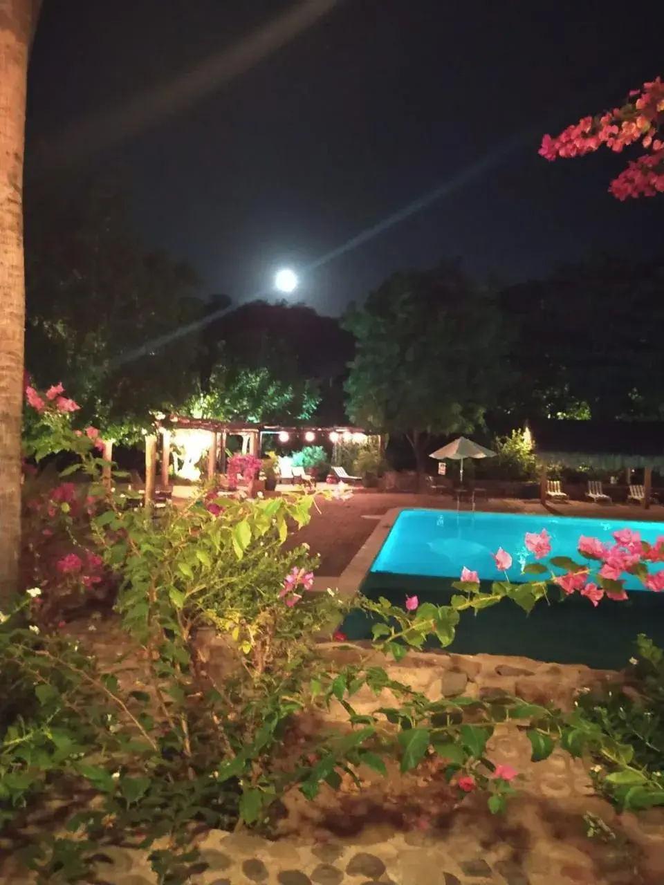 Garden in Tripui Hotel