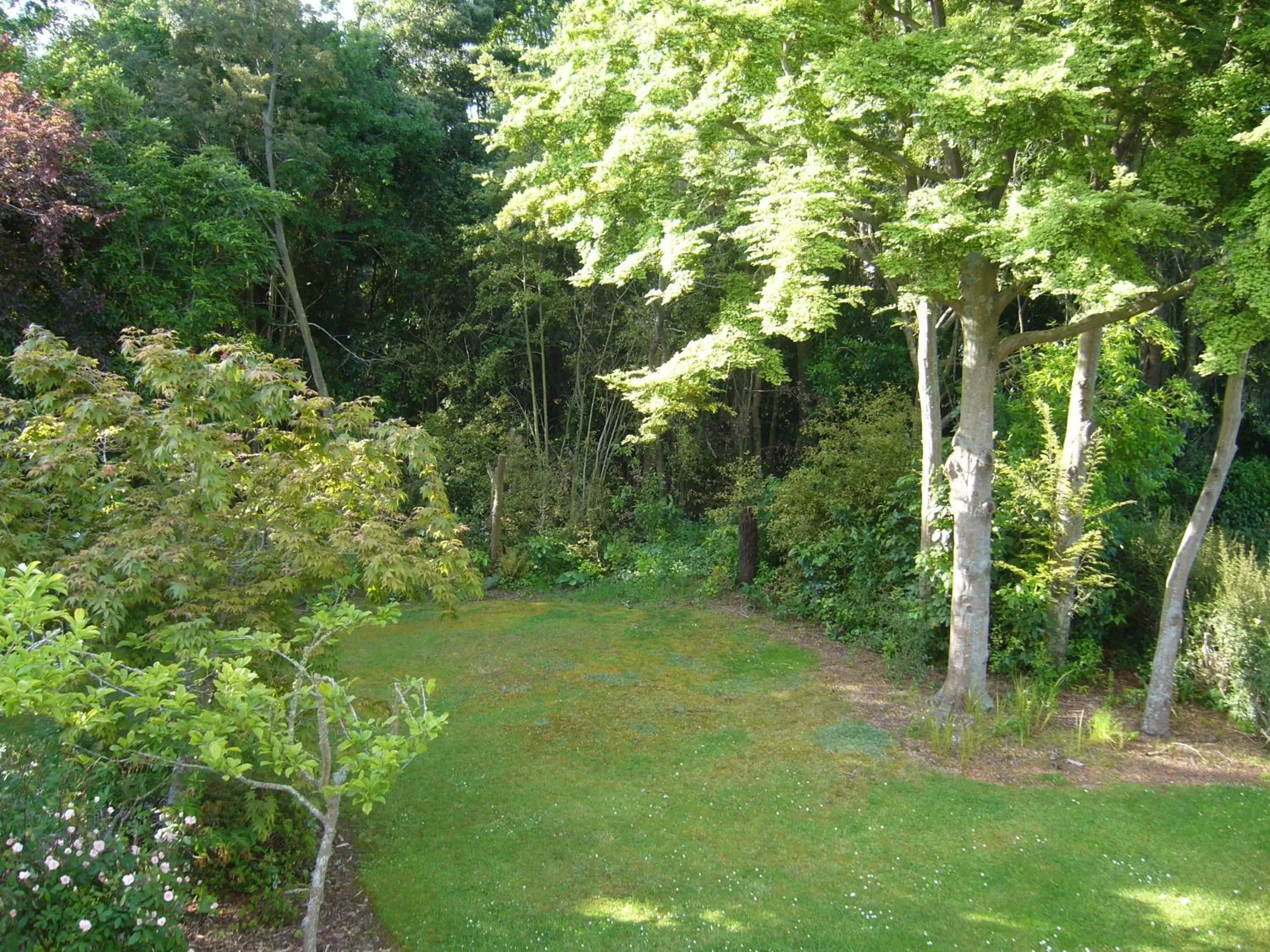 Garden view in Forest Manor