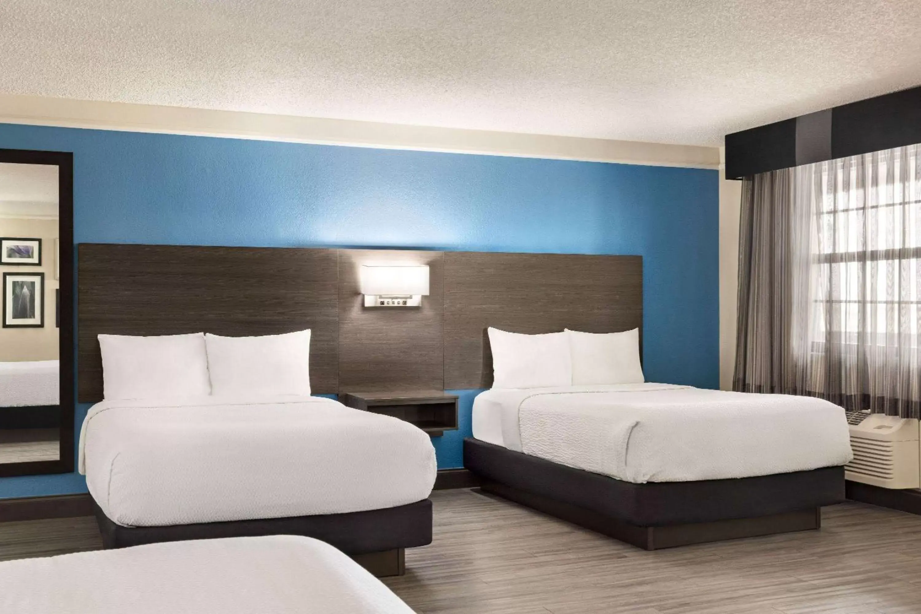 Photo of the whole room, Bed in La Quinta Inn by Wyndham San Antonio I-35 N at Toepperwein