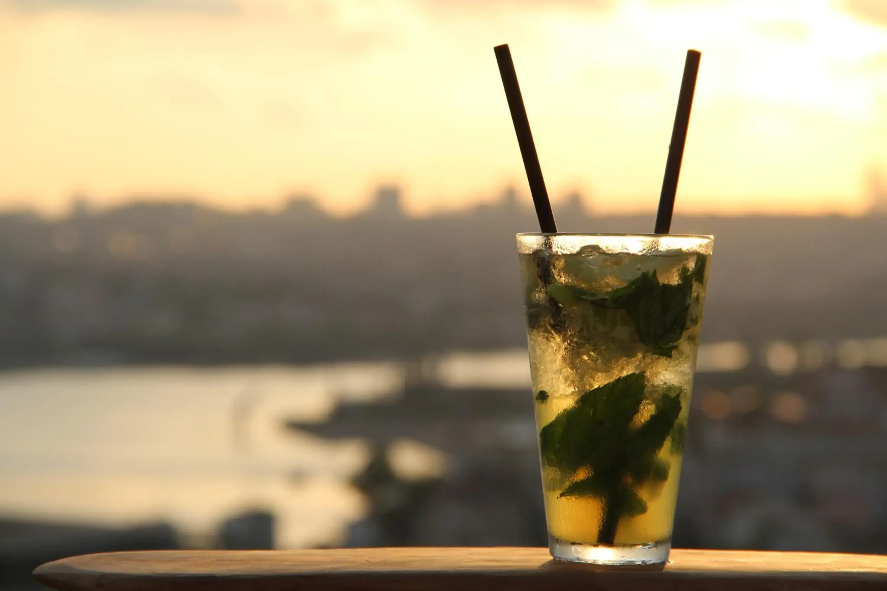 Food and drinks in Tulip City Hotel & Spa Food and drinks in Tulip City Hotel & Spa