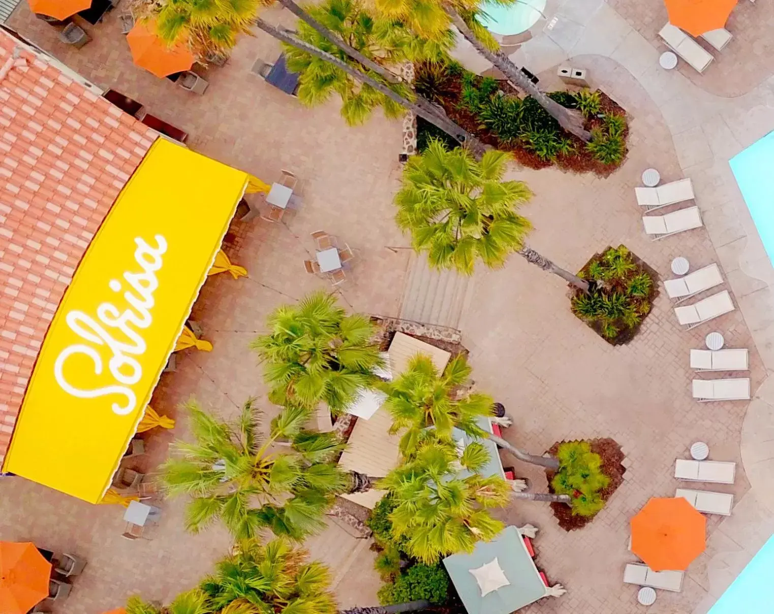 Restaurant/places to eat in San Diego Mission Bay Resort Restaurant/places to eat in San Diego Mission Bay Resort