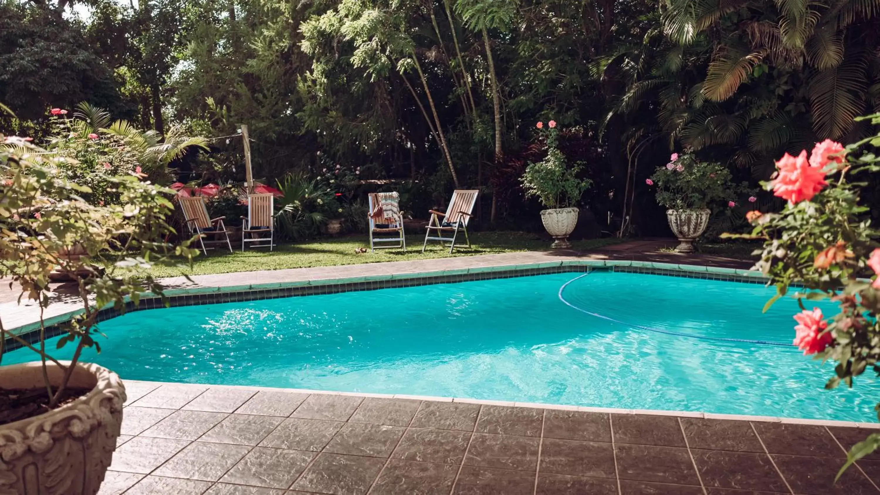 Swimming Pool in Beside Still Waters Boutique Hotel