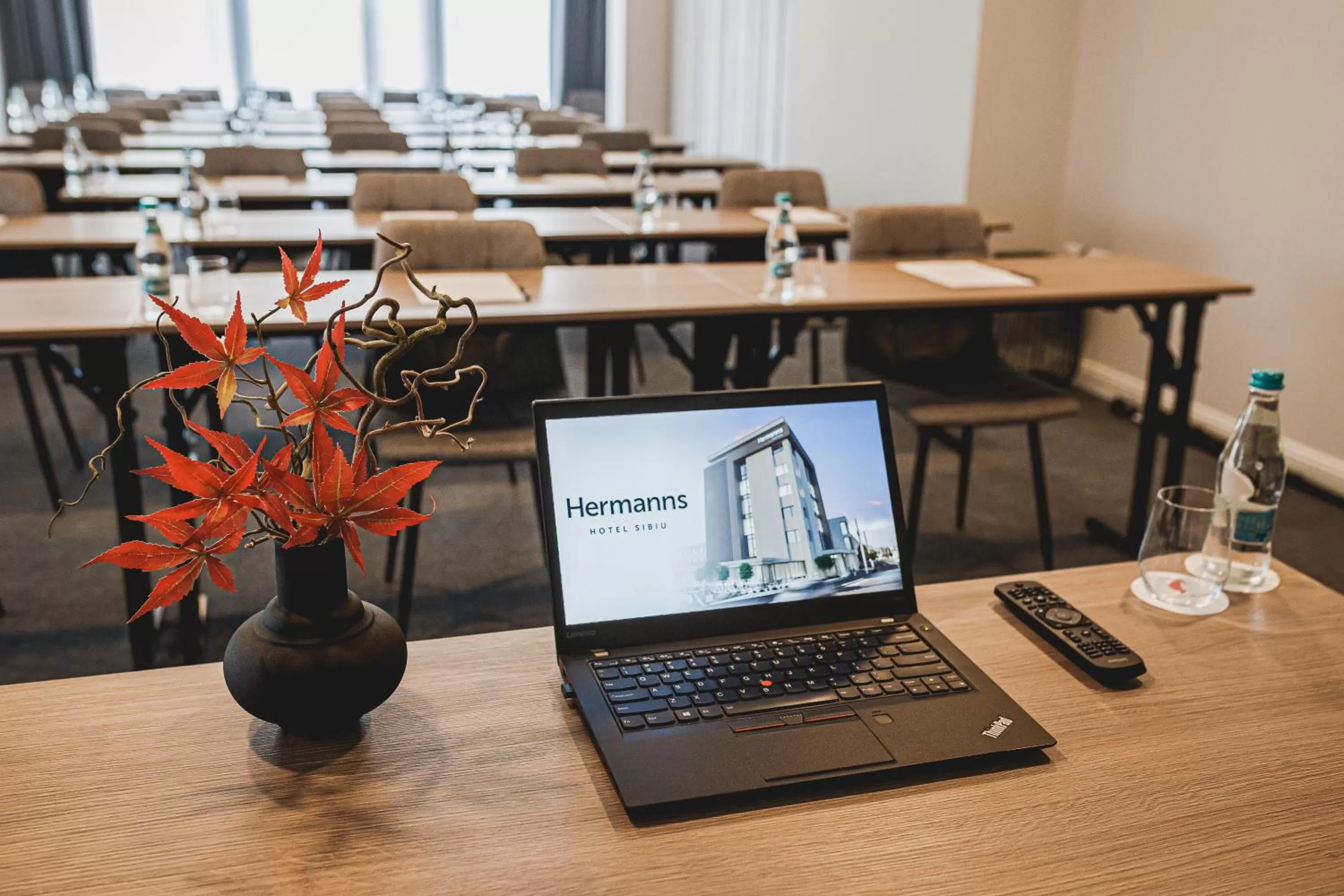 Business facilities in Hermanns Hotel & Spa Sibiu