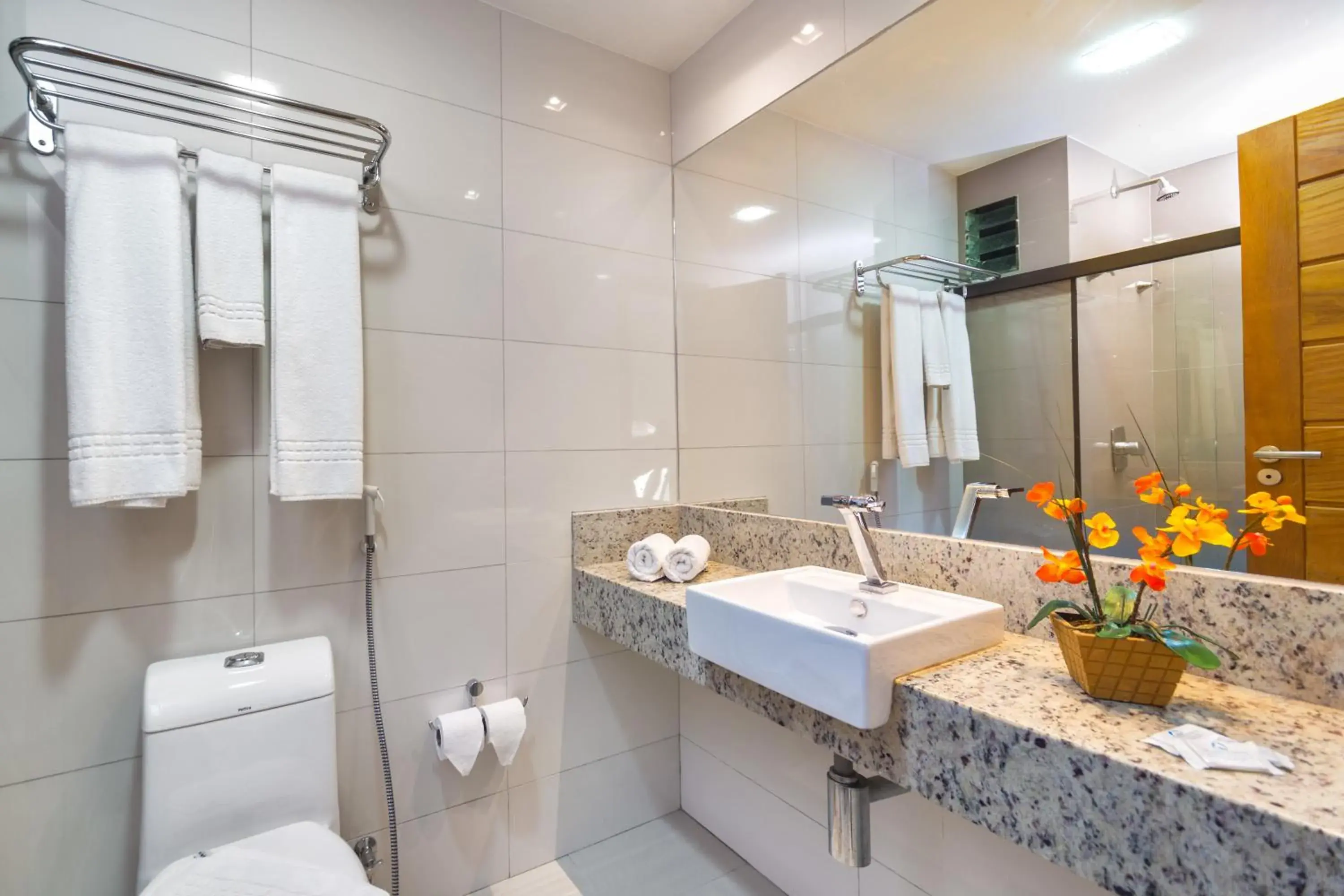 Toilet, Bathroom in Transoceanico Praia Hotel