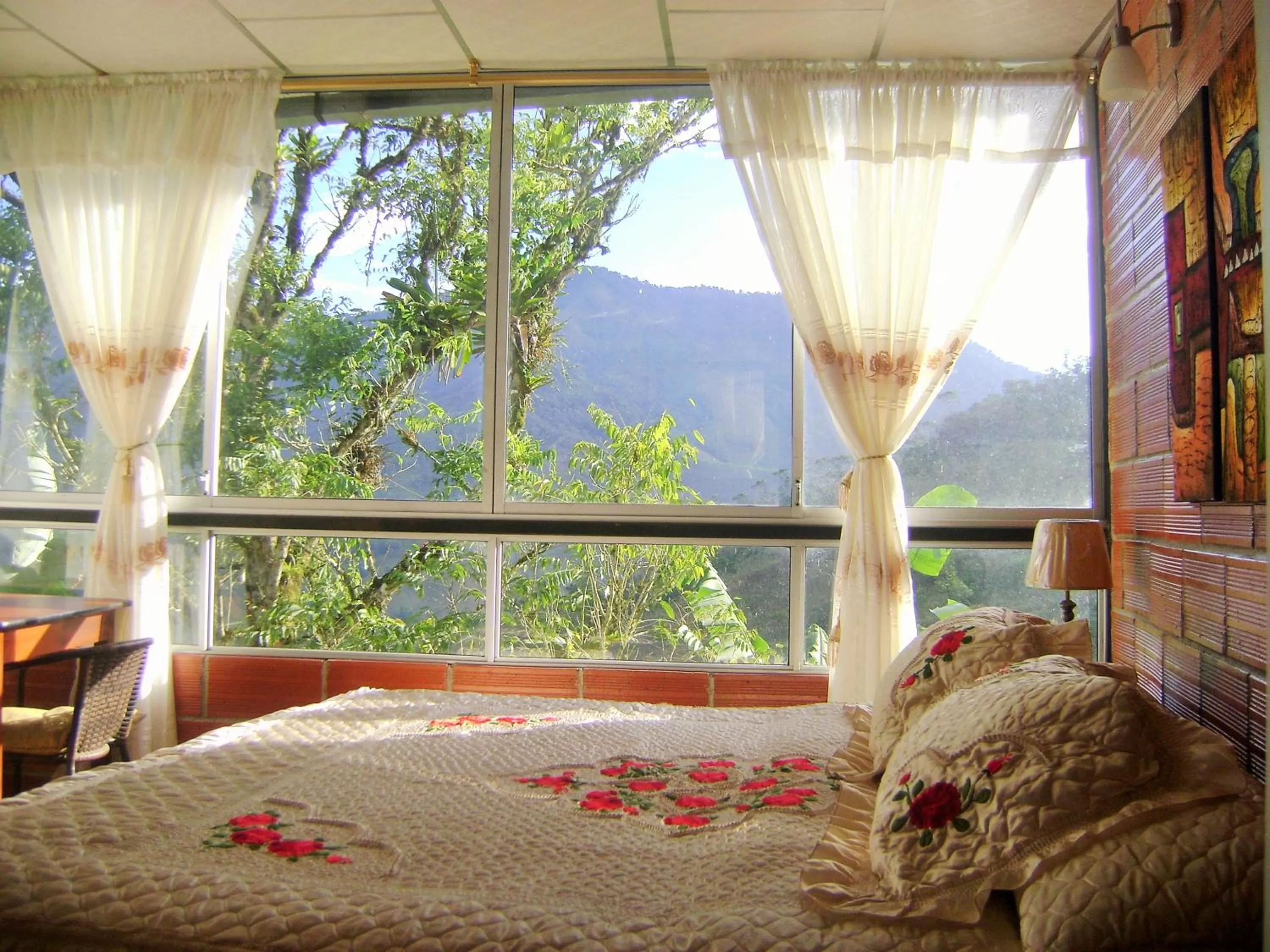 Mountain View in Hosteria Florecer