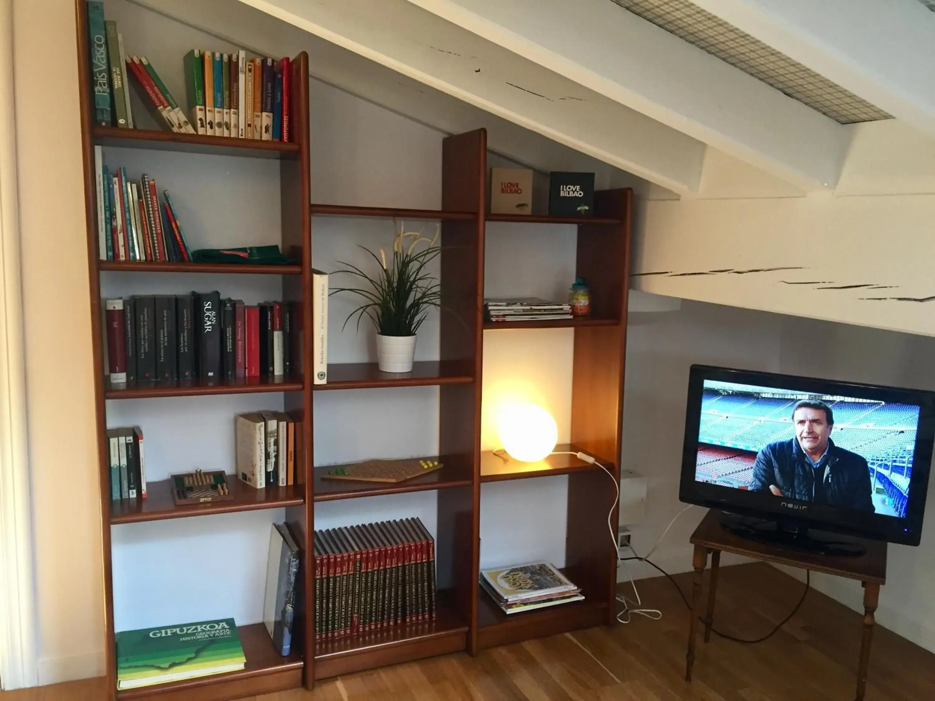 Library, TV/Entertainment Center in Hotel Artetxe