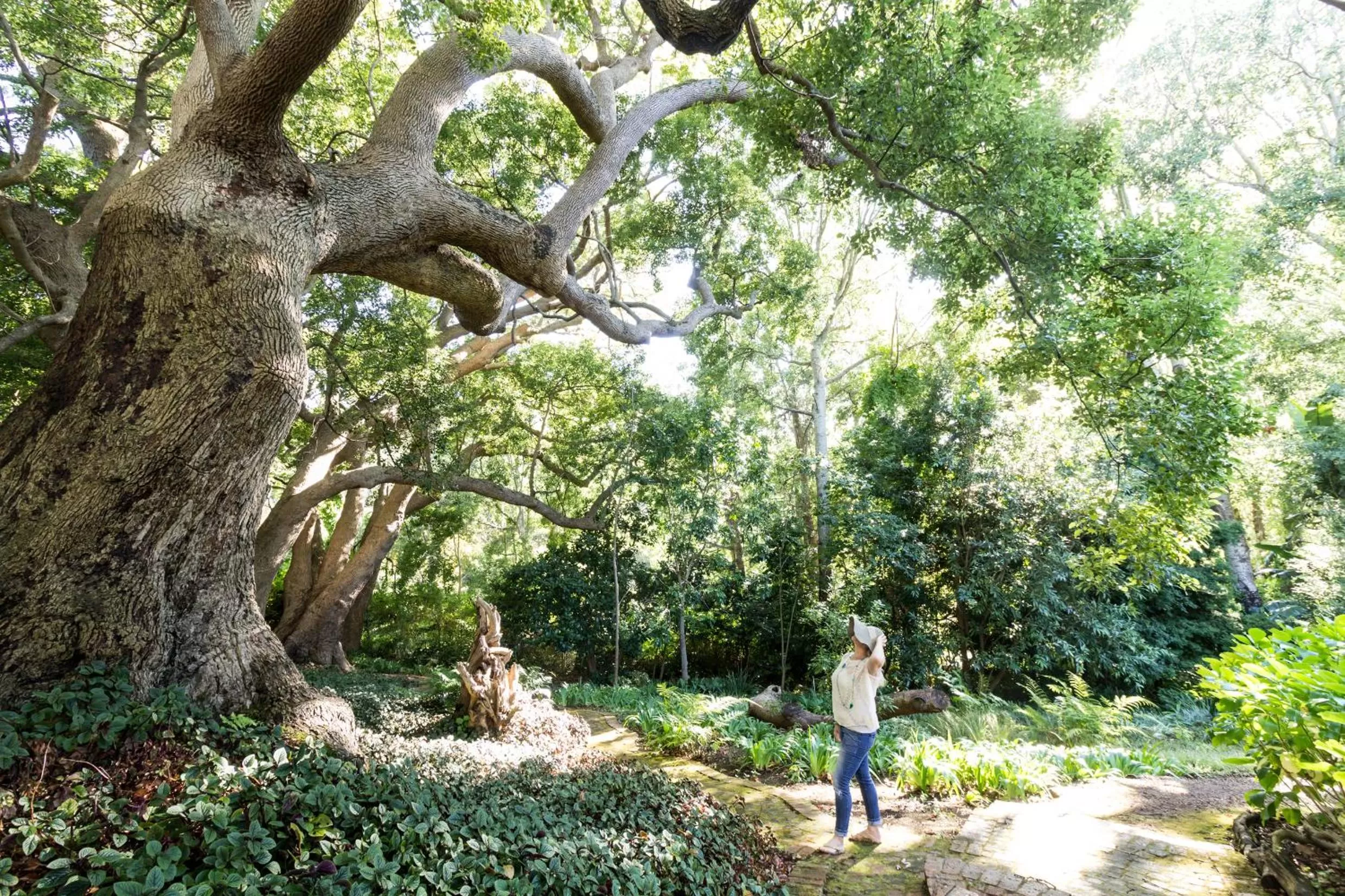Garden in The Cellars-Hohenort