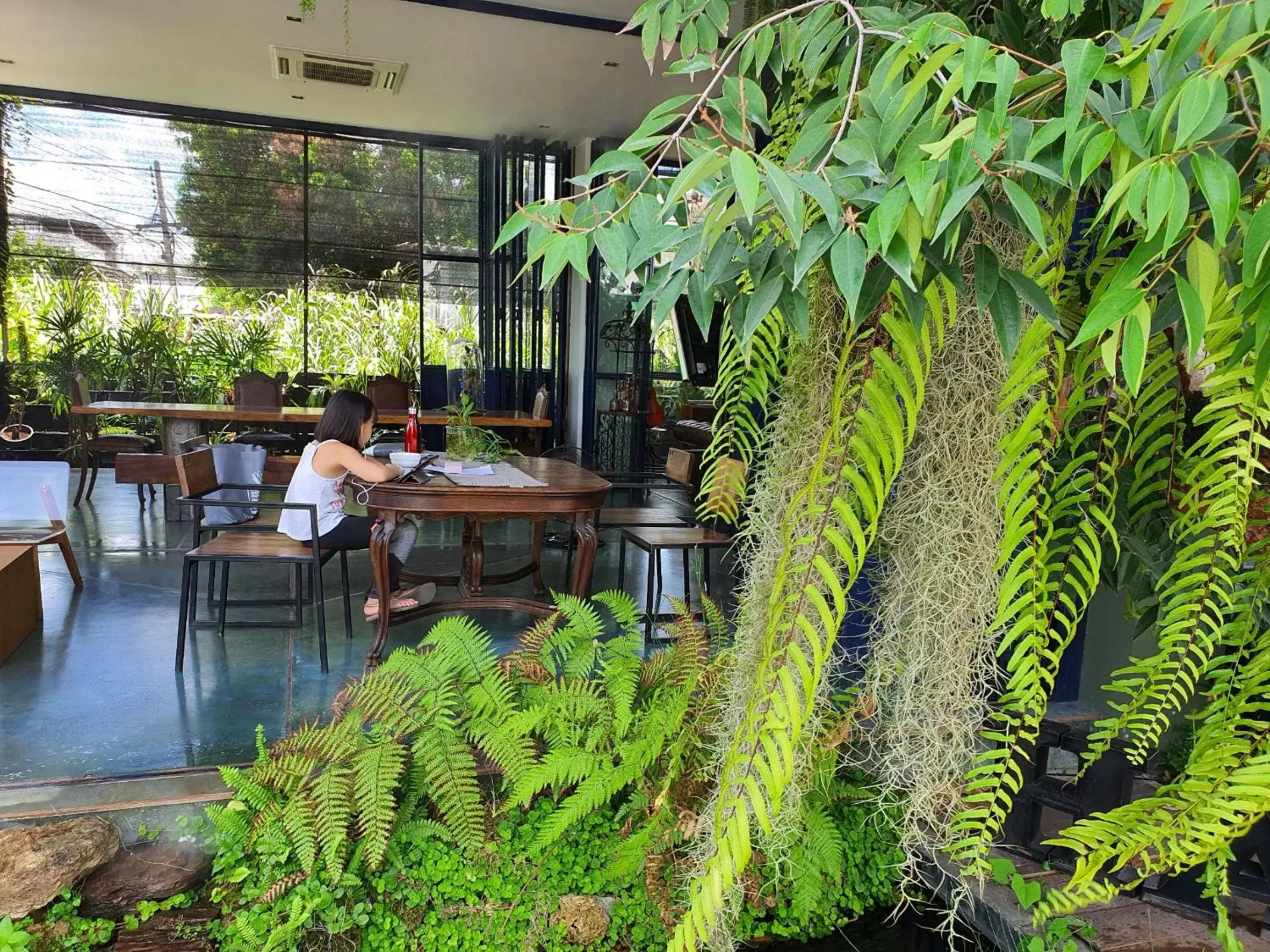 Restaurant/places to eat in THE WOOD Restaurant/places to eat in THE WOOD