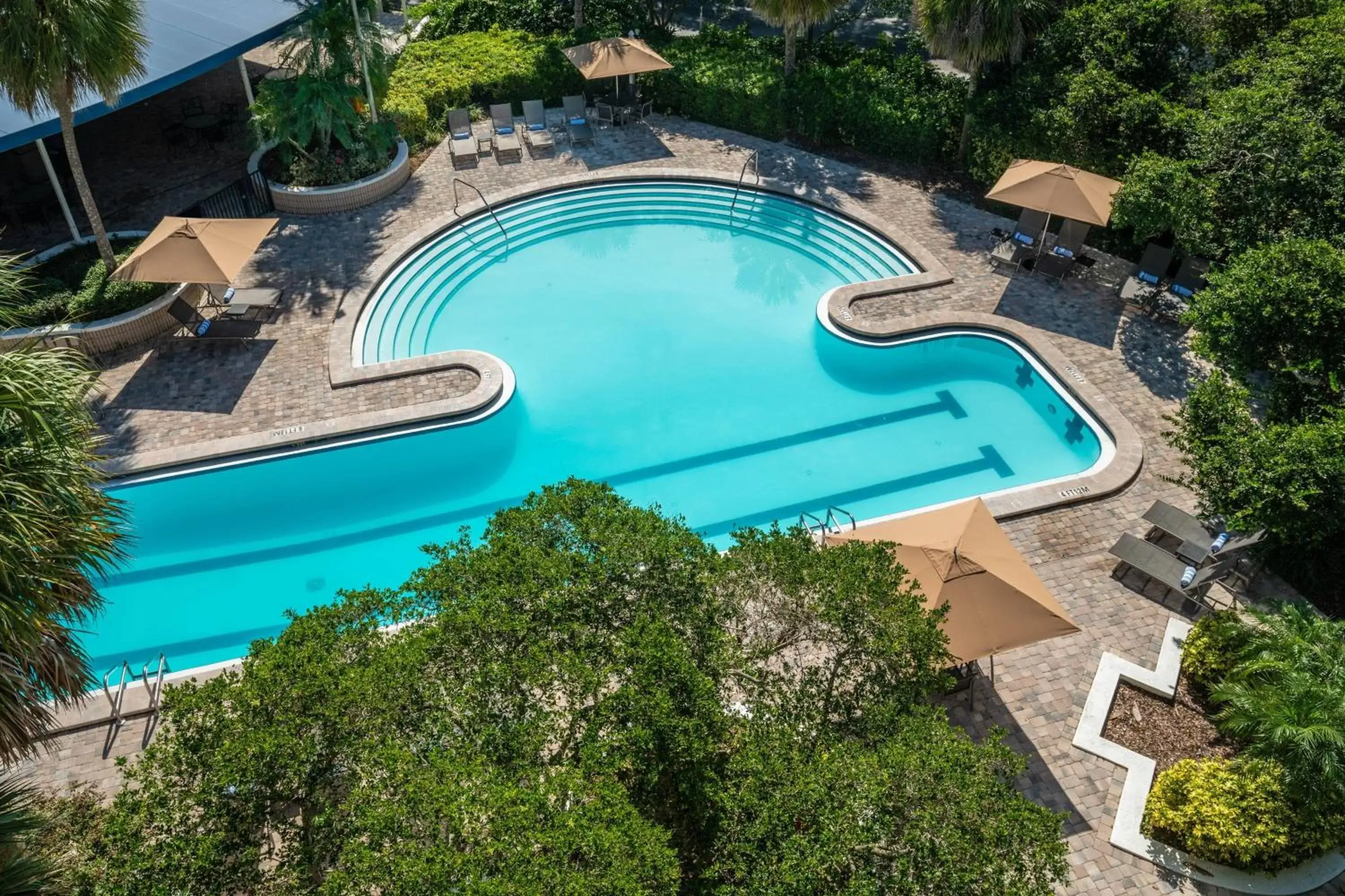 Swimming pool, Pool View in Sheraton Tampa Brandon Hotel