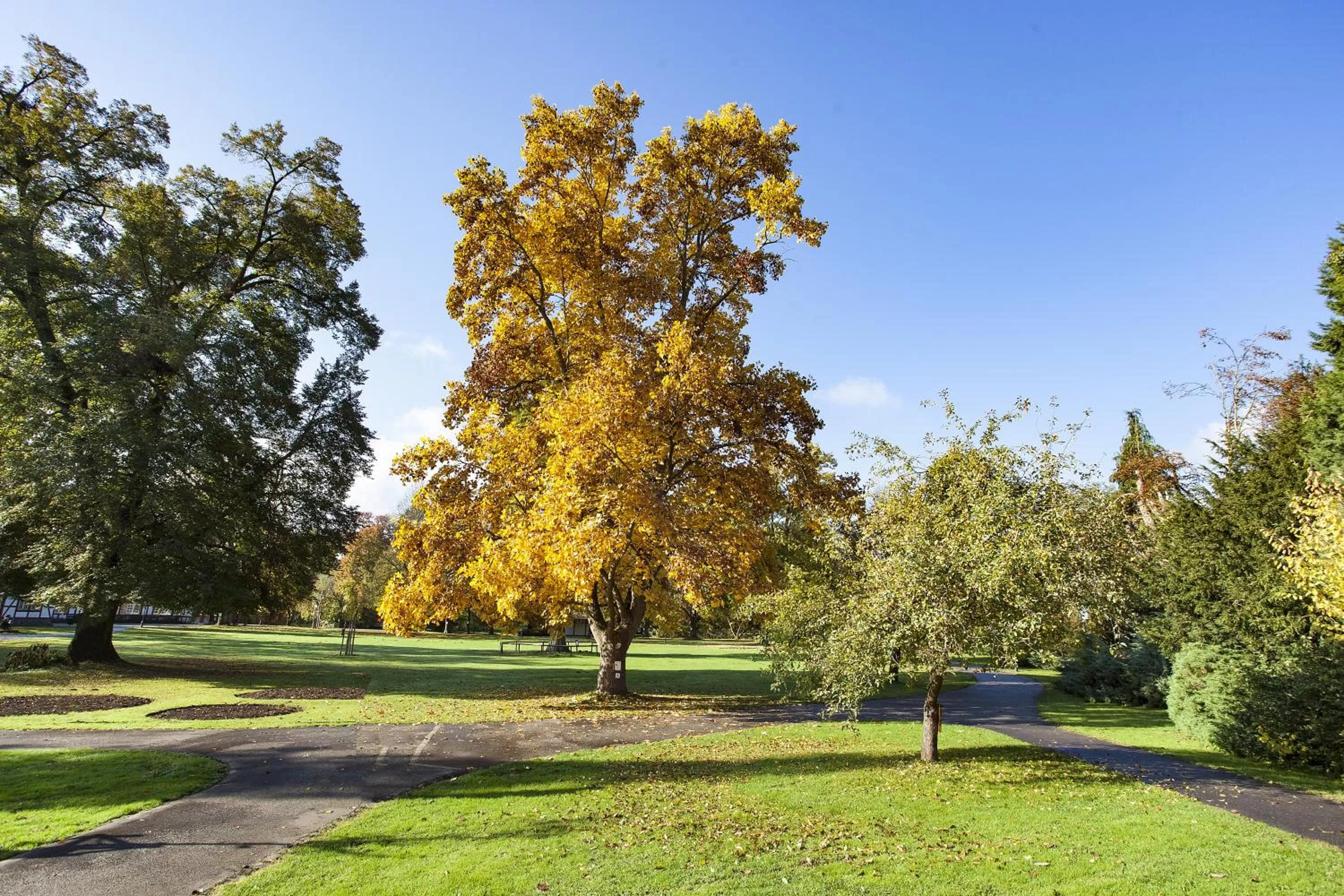 Off site in Kurhaushotel Bad Salzhausen