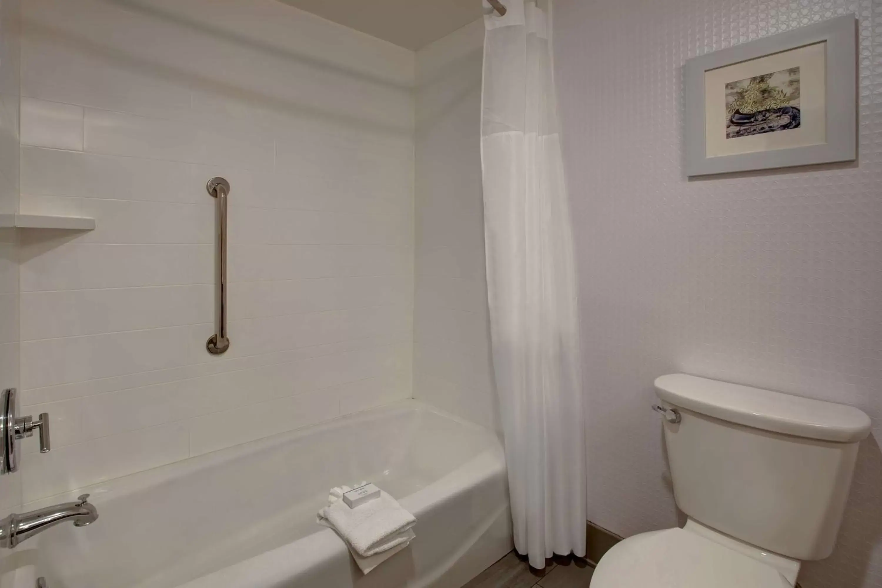 Bathroom in Hampton Inn Olive Branch