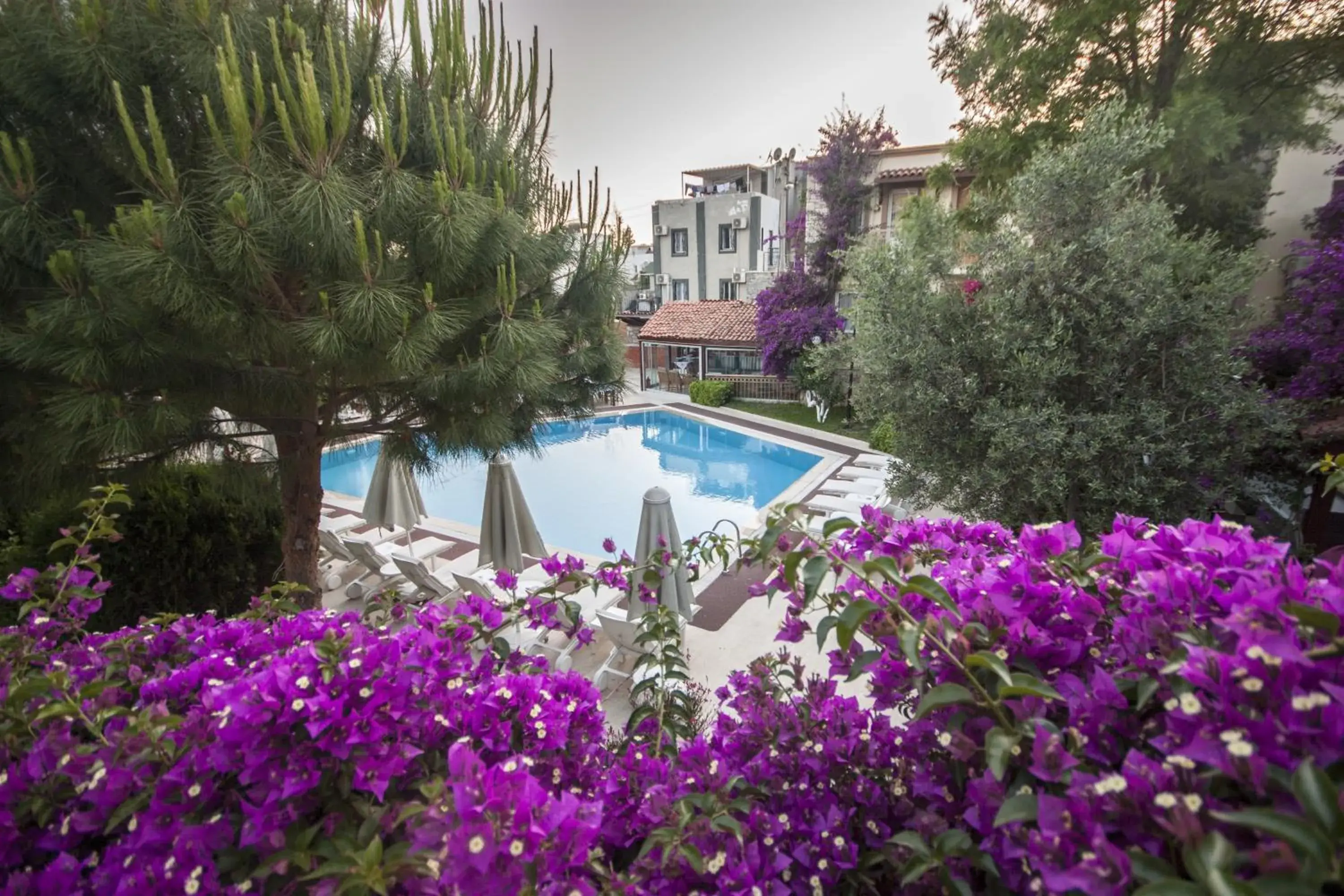 Restaurant/places to eat in Moonshine Hotel & Suites Restaurant/places to eat in Moonshine Hotel & Suites