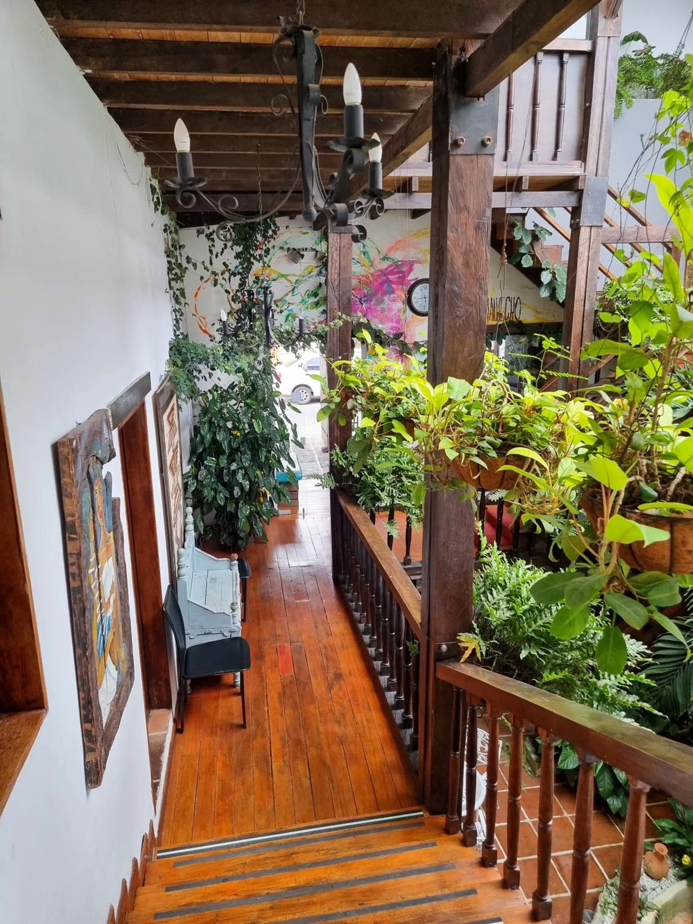 Garden in Hotel Terraza San Antonio