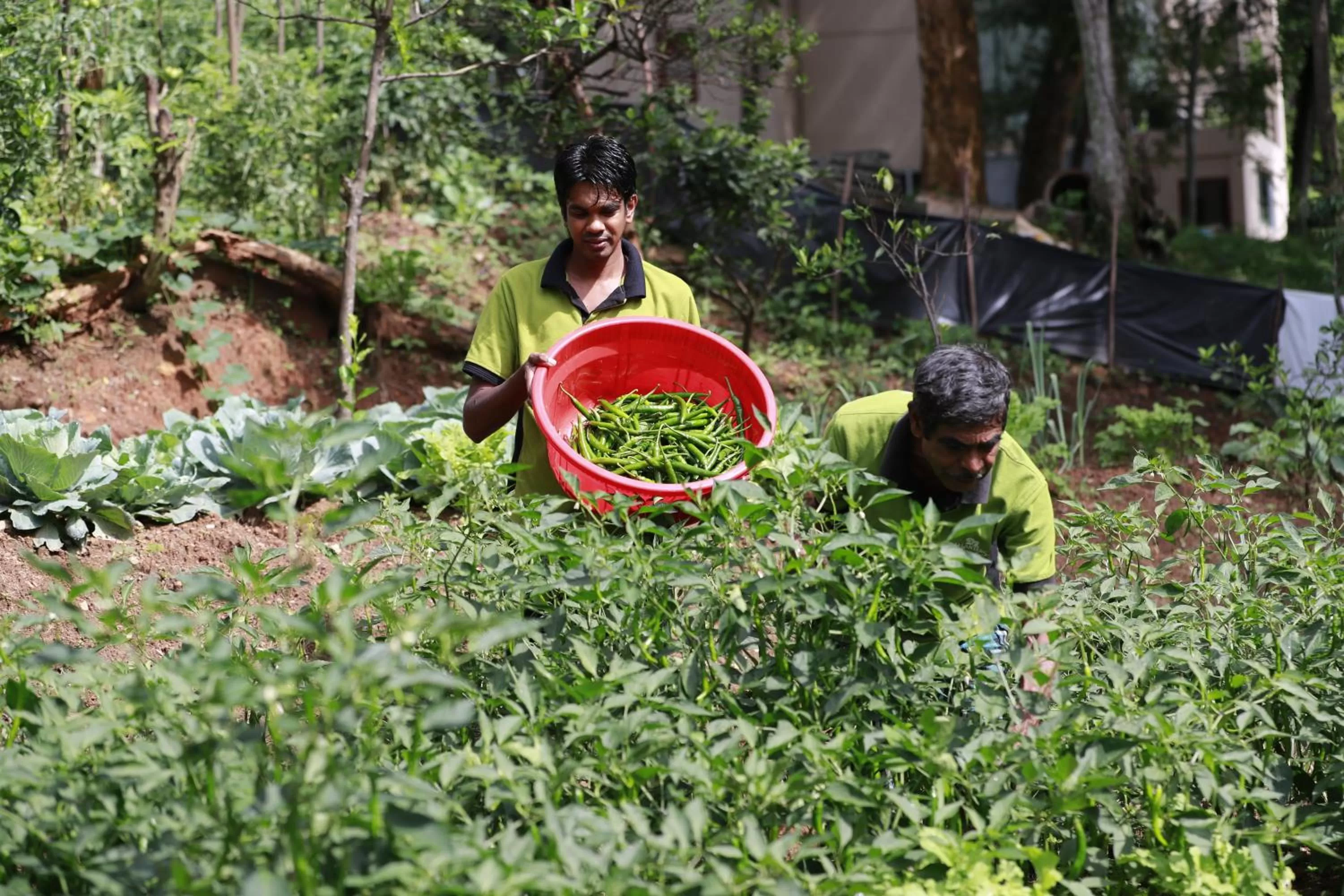 Food in Ella Planters Bungalow