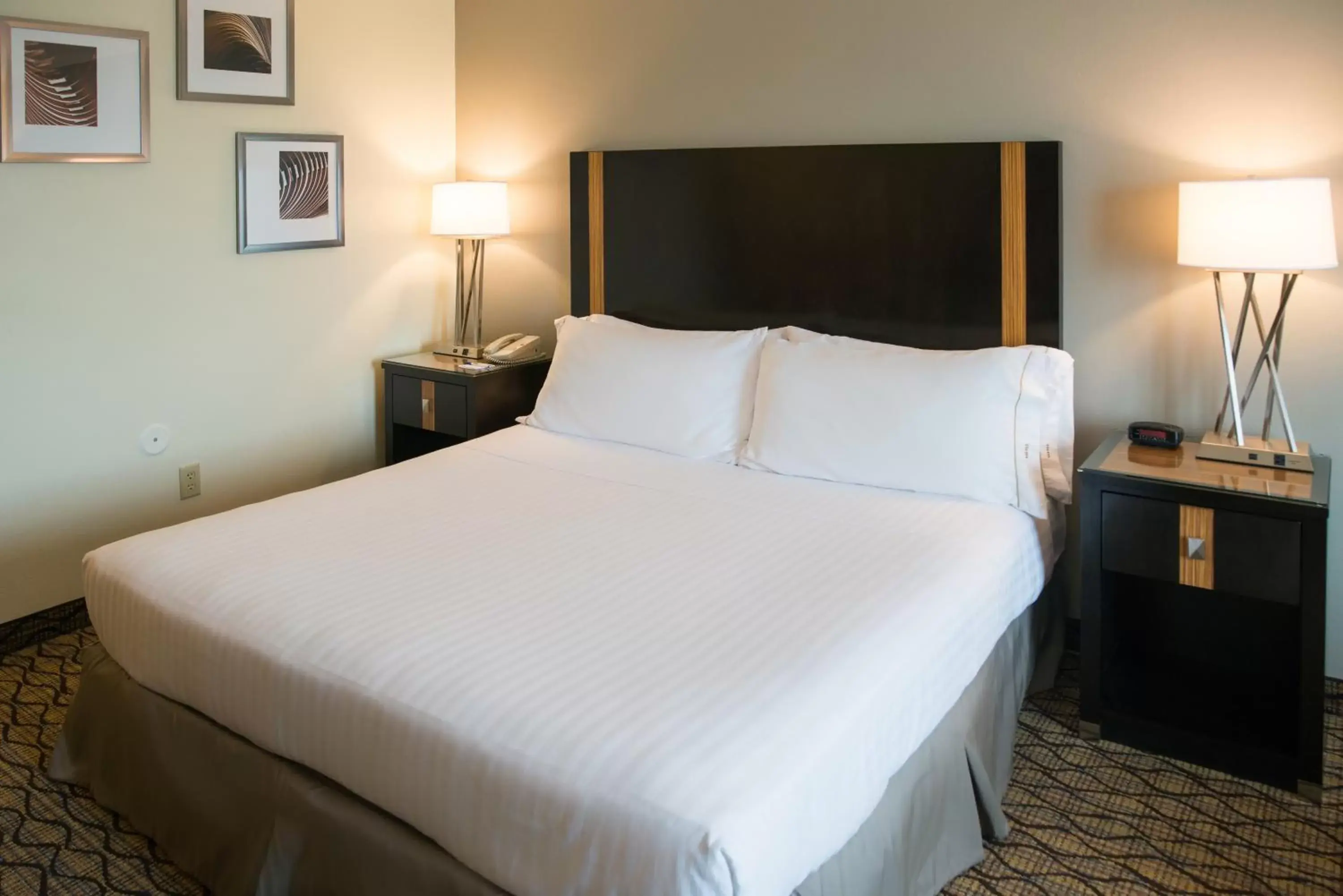 Photo of the whole room, Bed in Holiday Inn Express Hotel & Suites Chanhassen, an IHG Hotel