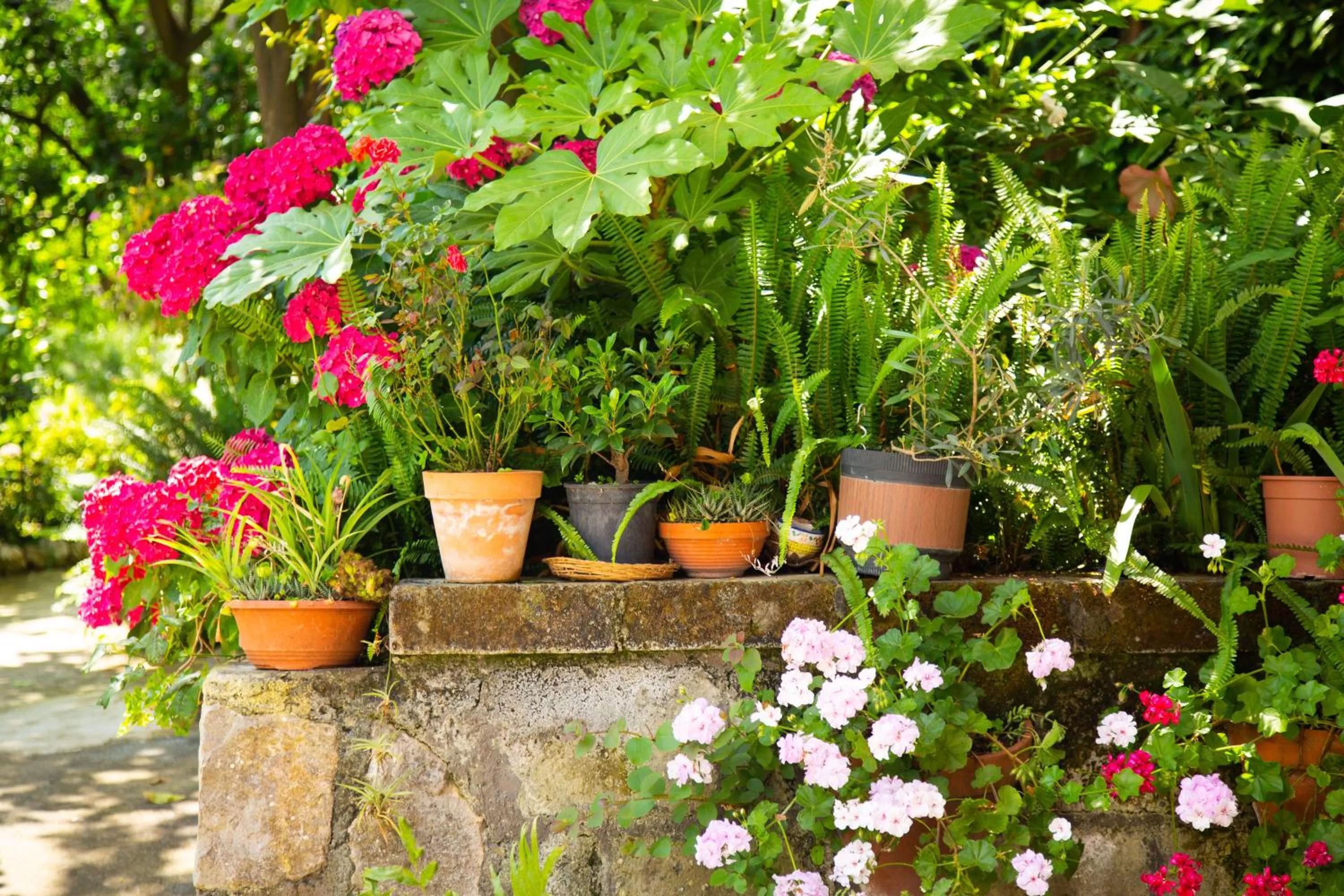 B&b L' Arancio in fiore