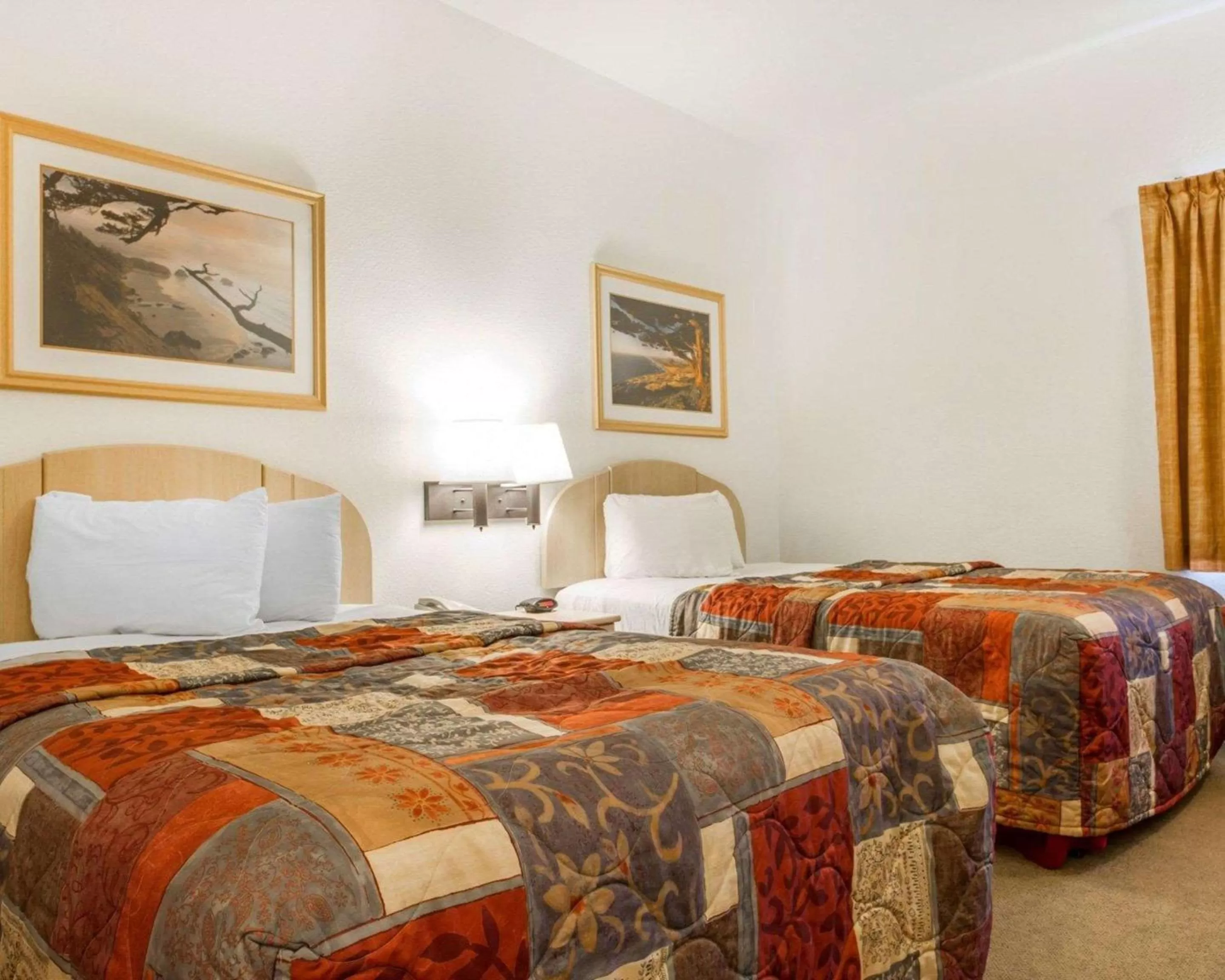 Photo of the whole room, Bed in Rodeway Inn