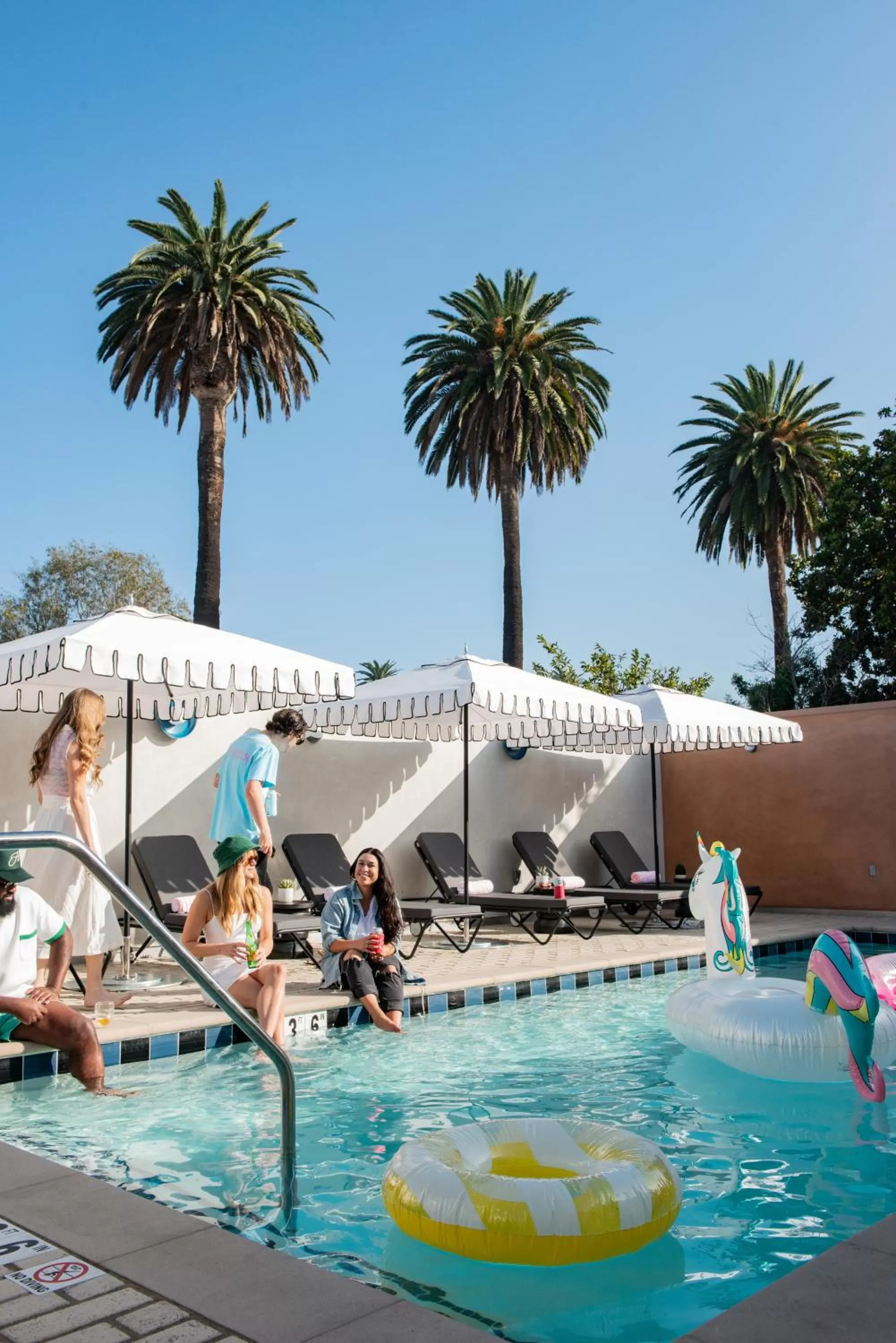 Pool view in Alsace LA