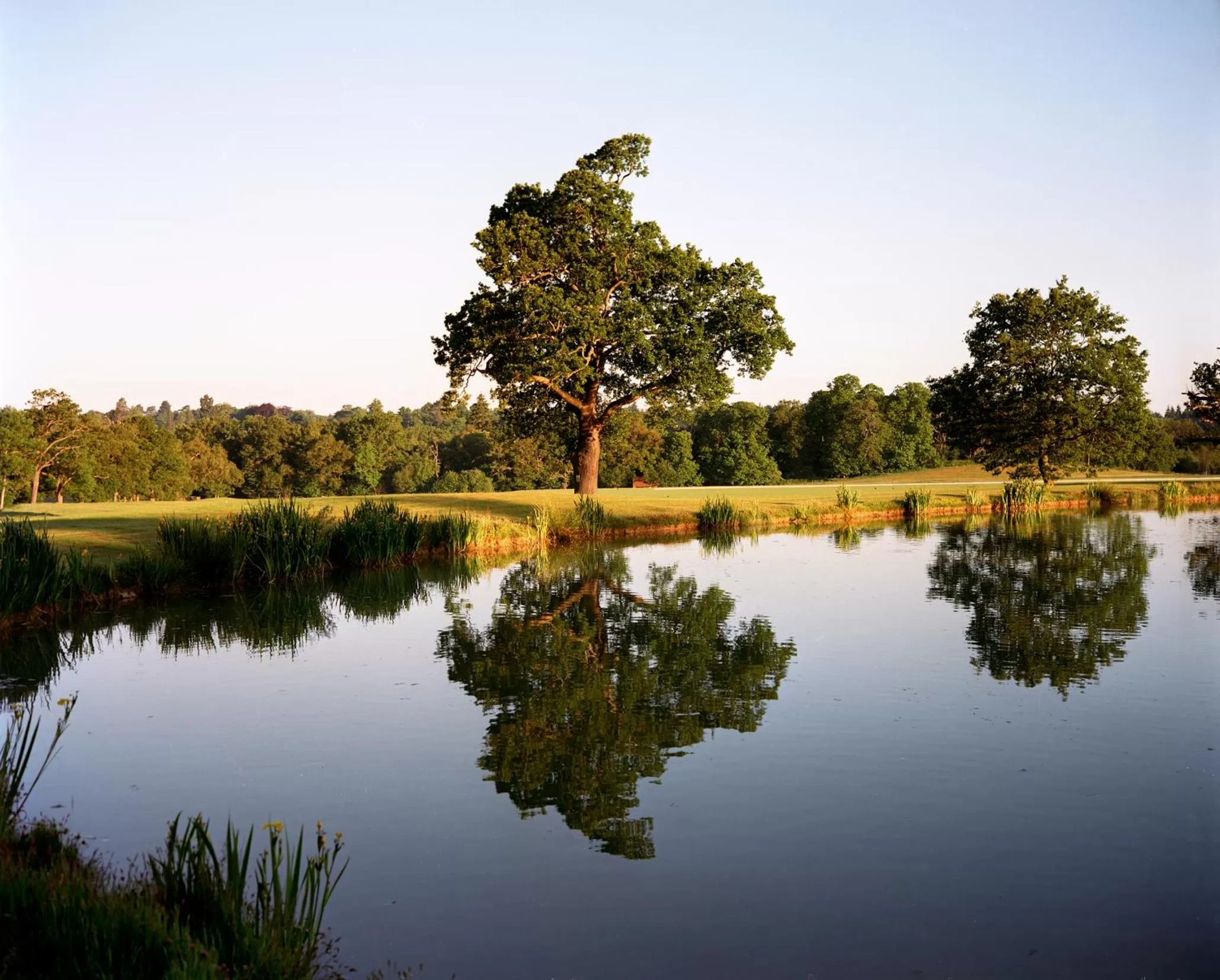 Area and facilities in Coworth Park - Dorchester Collection