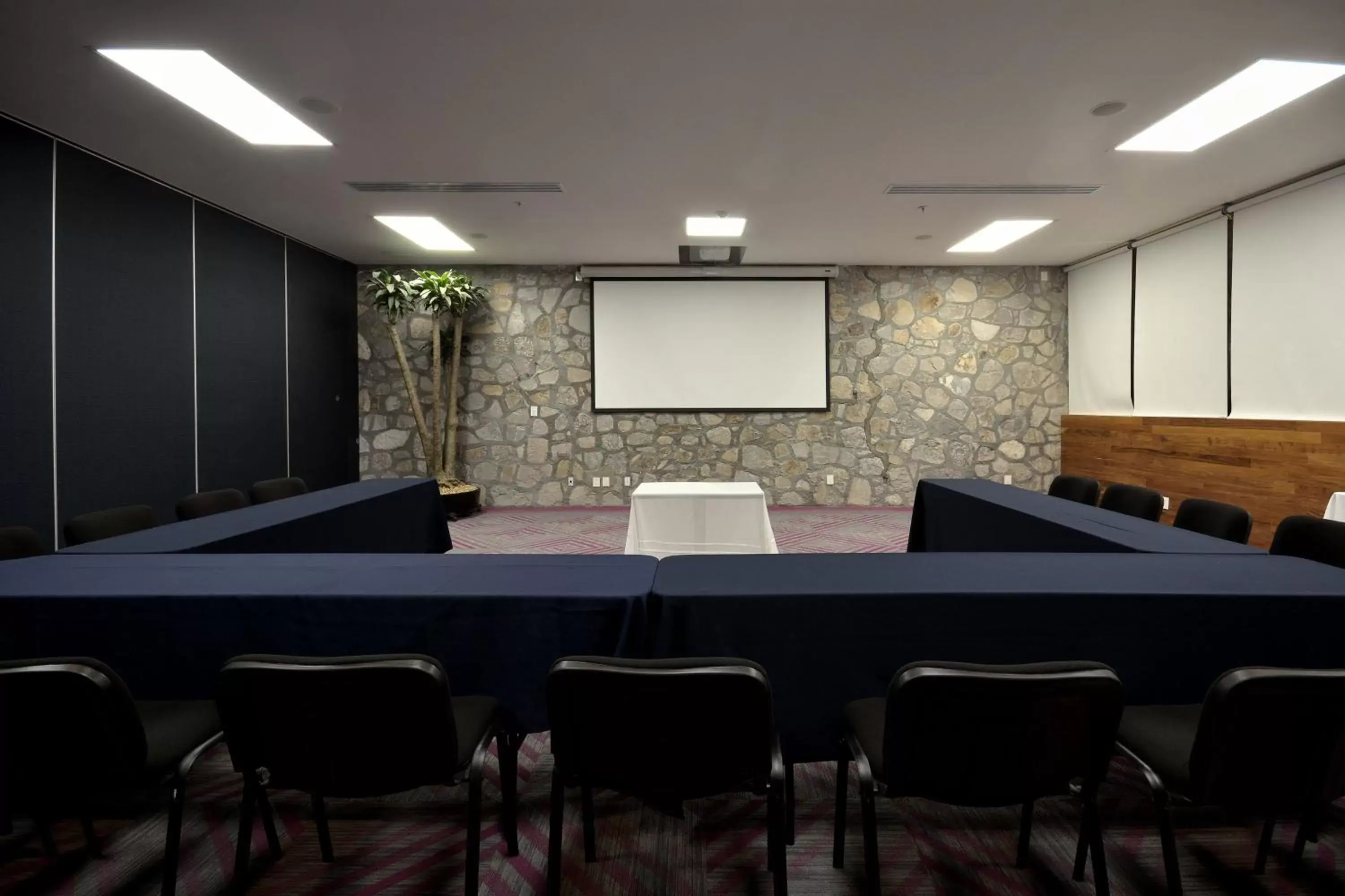 Meeting/conference room, Business Area/Conference Room in Holiday Inn Express Pachuca, an IHG Hotel