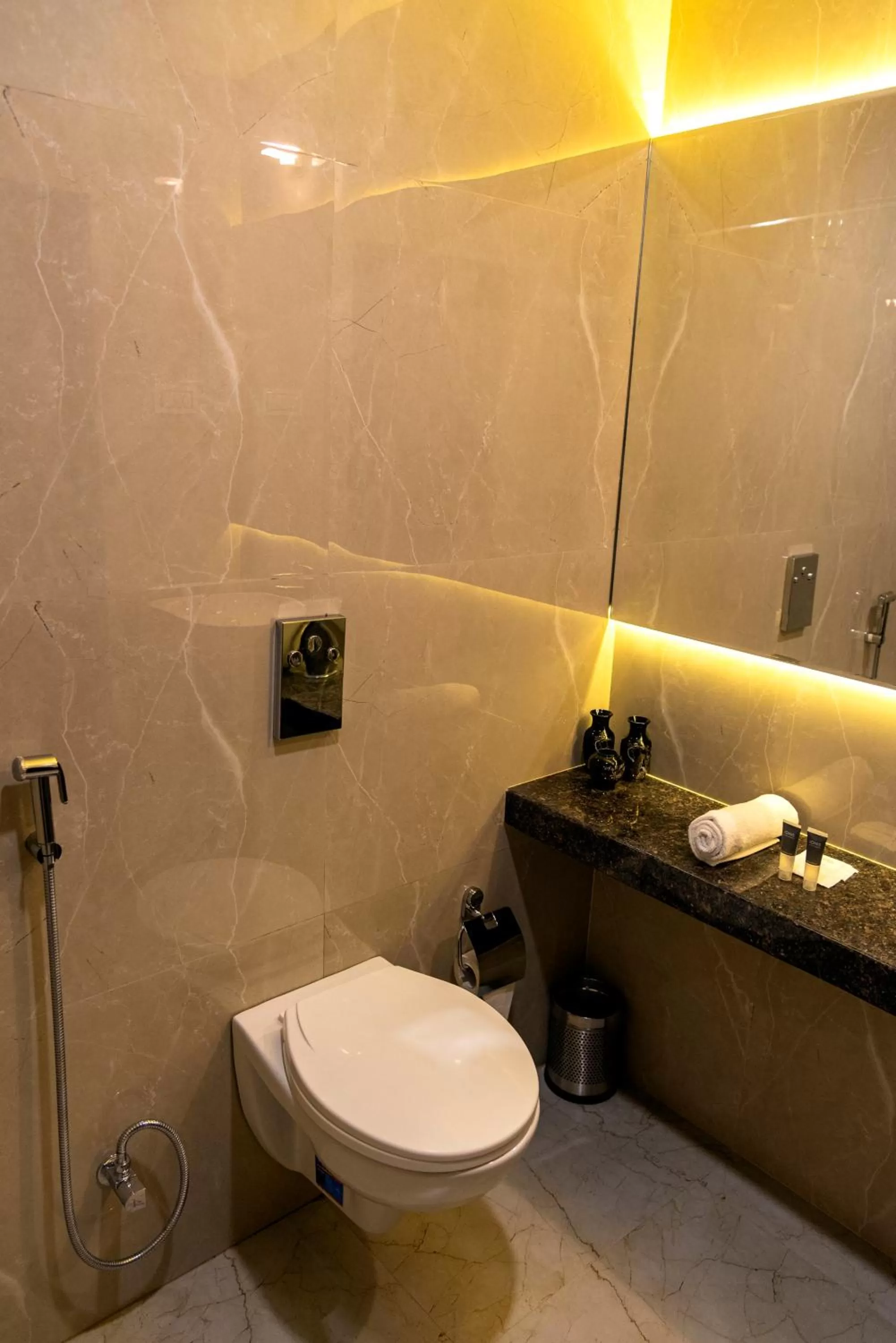 Toilet in Hotel Pratham