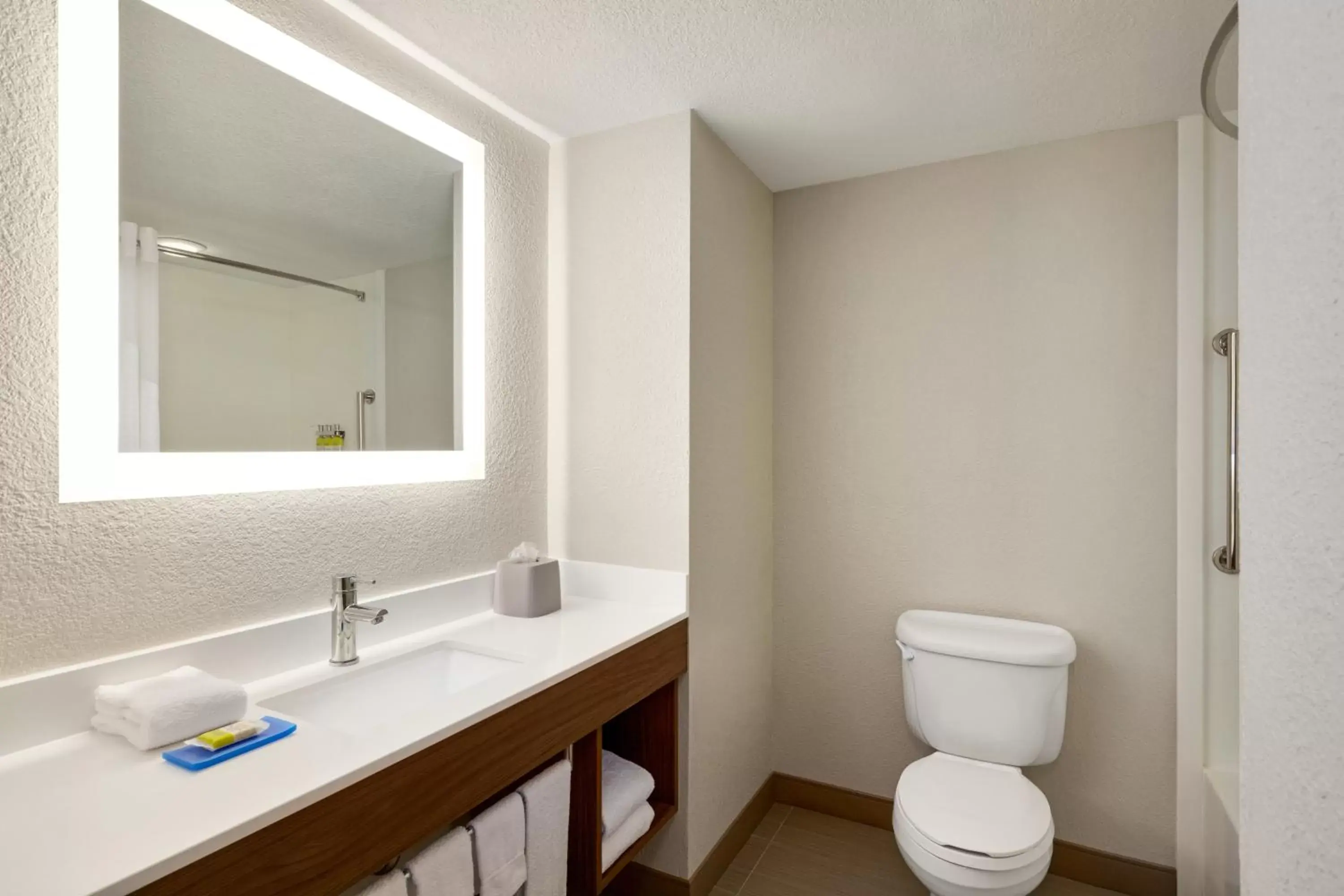 Bathroom in Holiday Inn Express & Suites Pembroke Pines-Sheridan St, an IHG Hotel