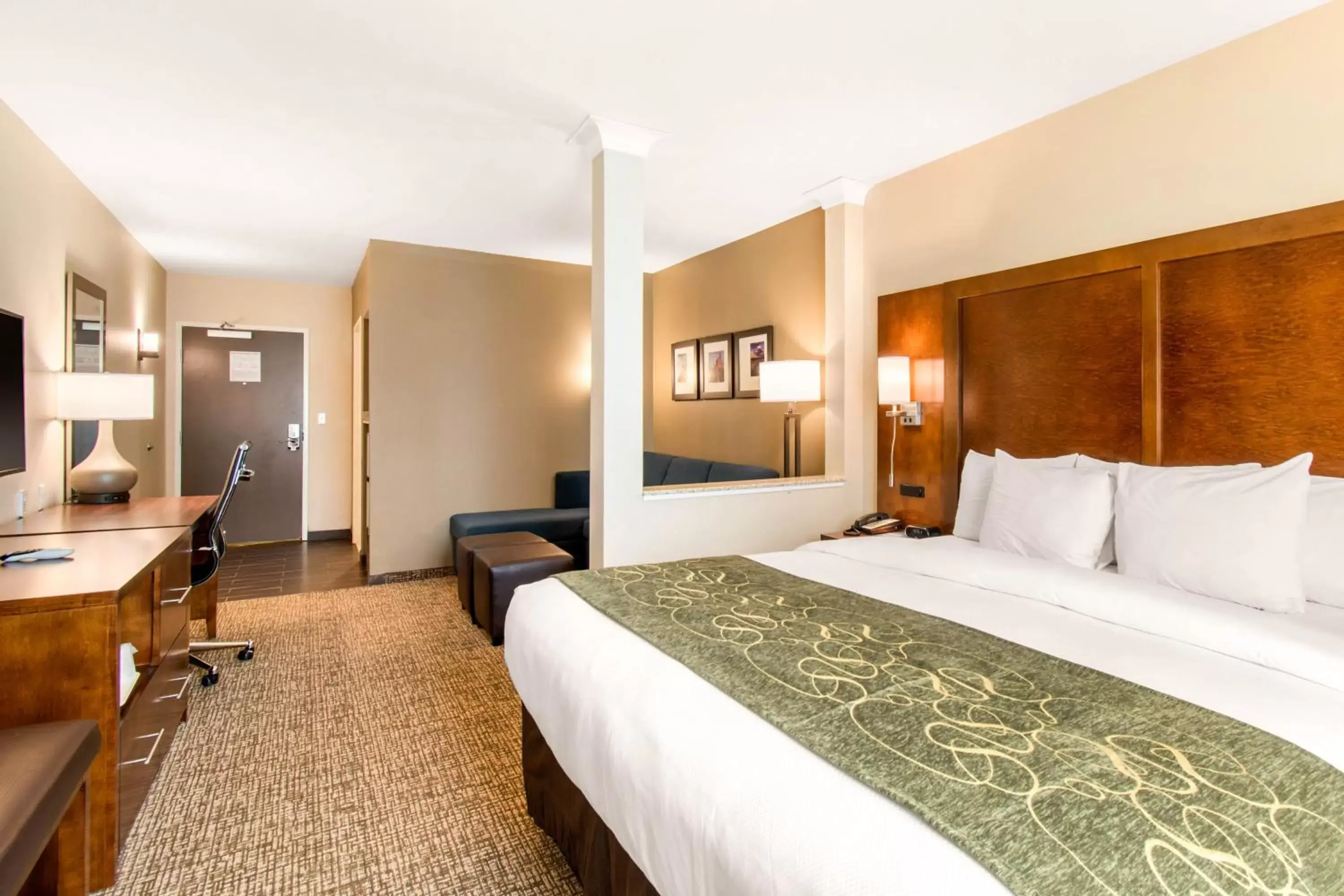 TV and multimedia, Bed in Comfort Suites Denver near Anschutz Medical Campus
